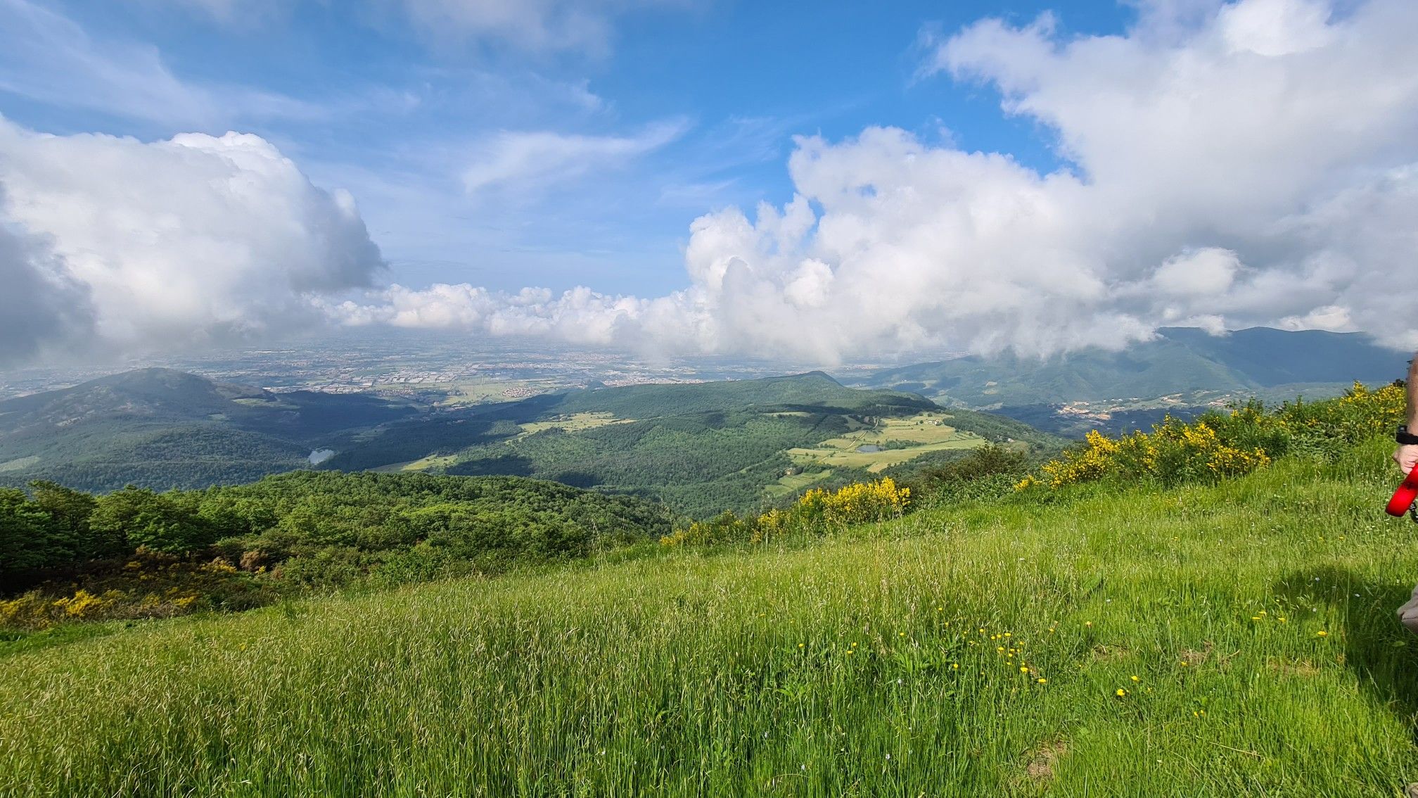 faggi di jiavello