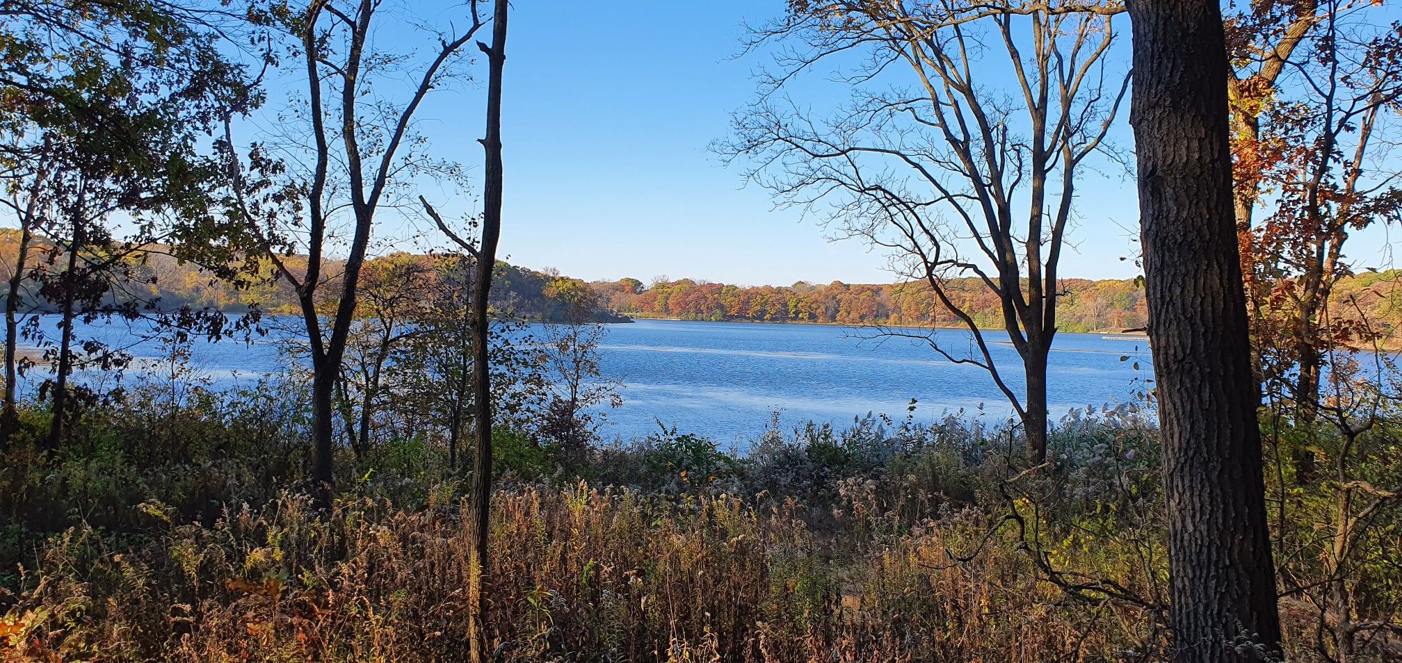 Wide lake seen through autumn trees and dry grasses under clear sky. - Tomahawk Slough – View of Tomahawk Slough loop from Plot M
