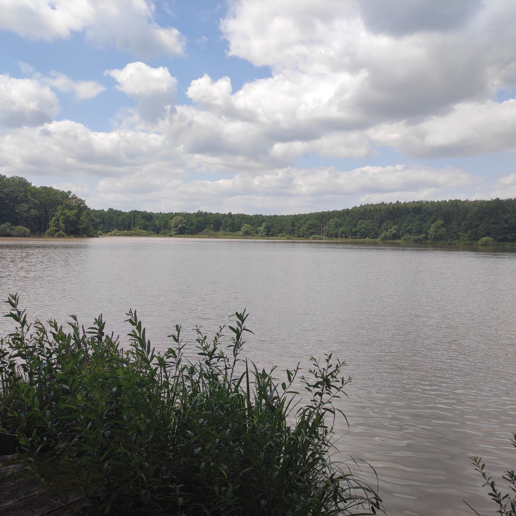 Reuthsee - Hier ist Baden auf eigene Gefahr.