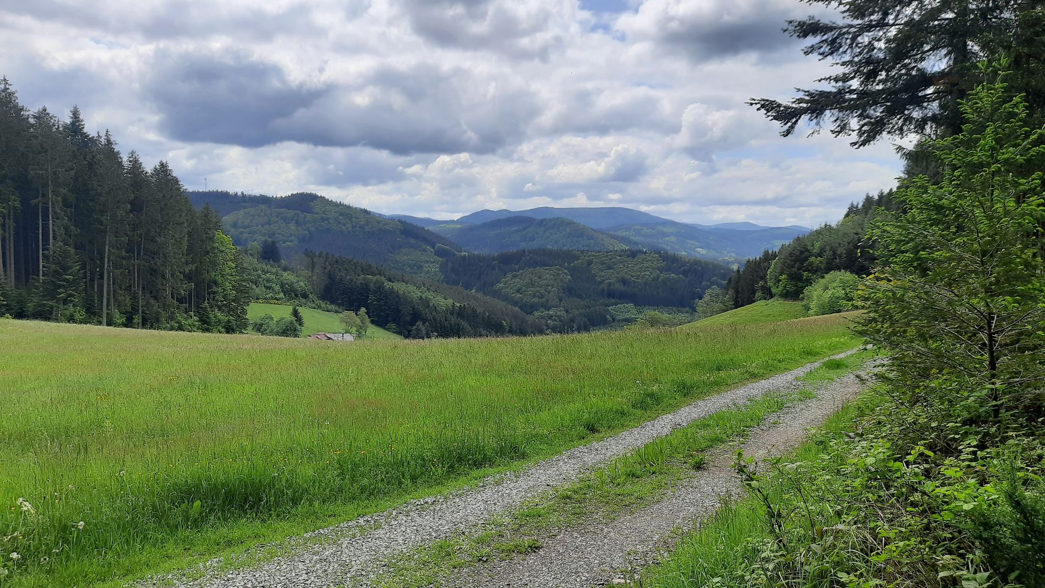 Über dem Adlersbach