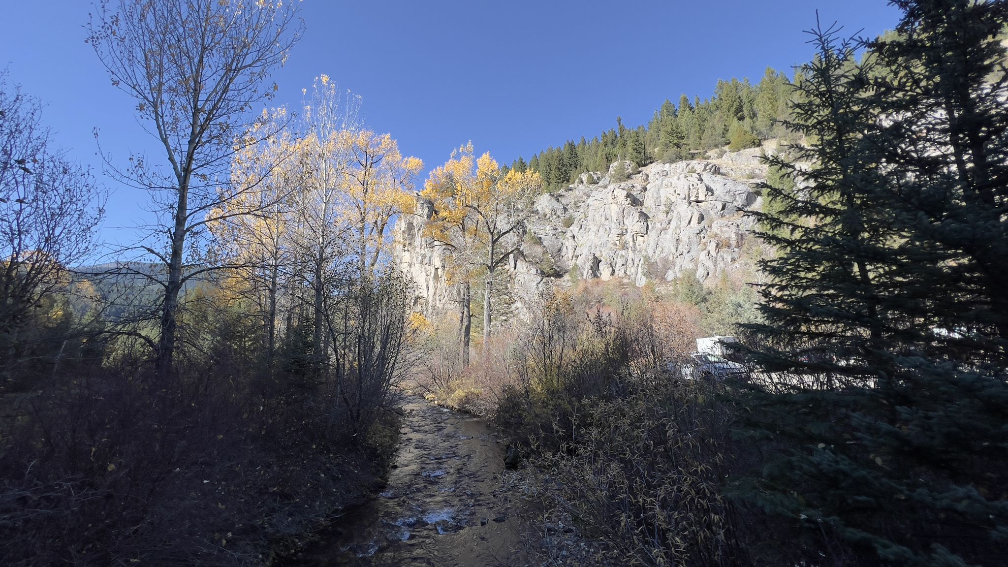Sunny autumn stream winding through trees with a rocky cliff backdrop. - Storm Castle Trail