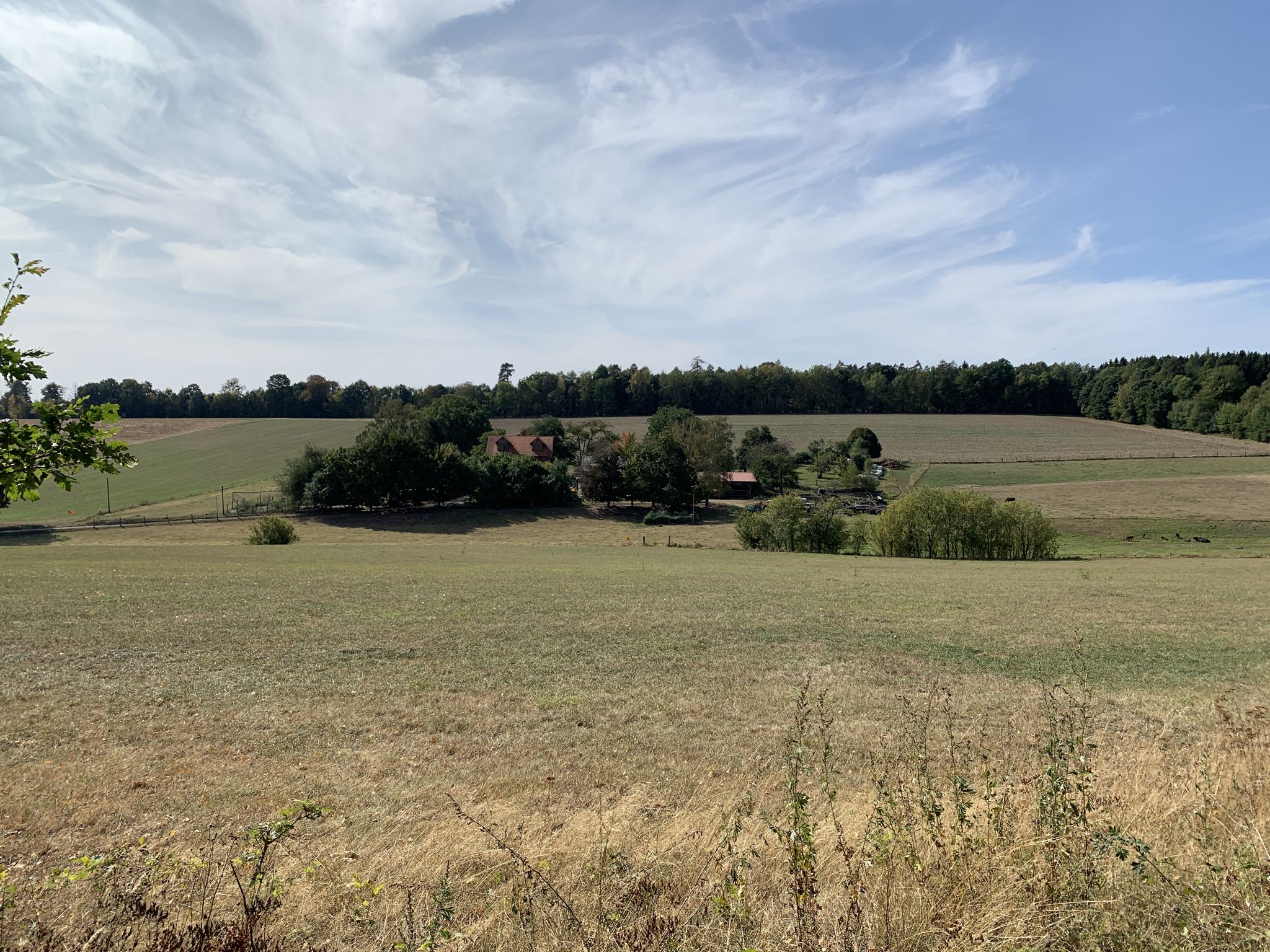 Waldhof Hertingshausen