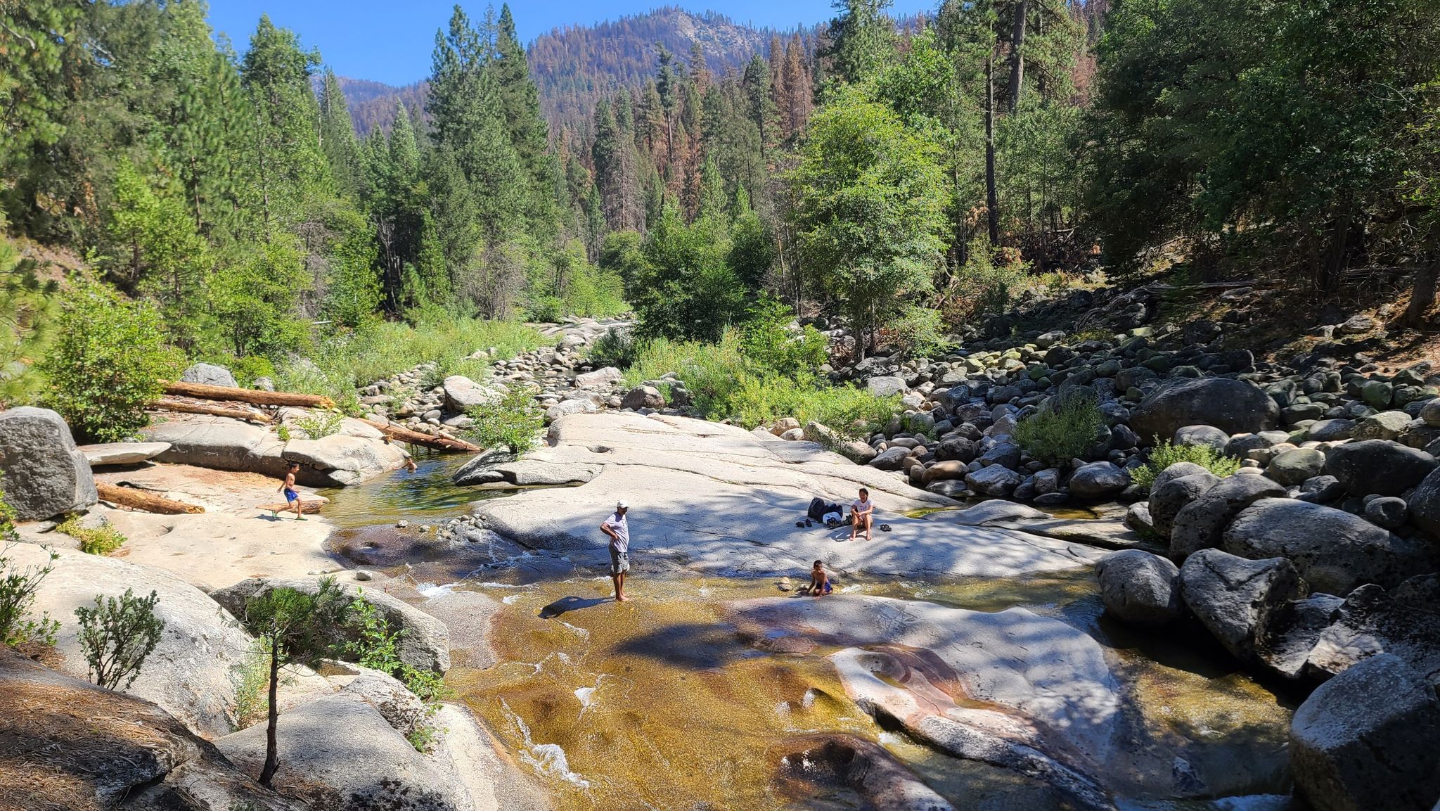 People wading and relaxing in a sunny, rocky river with a forest backdrop. - Swinging Bridge Trail