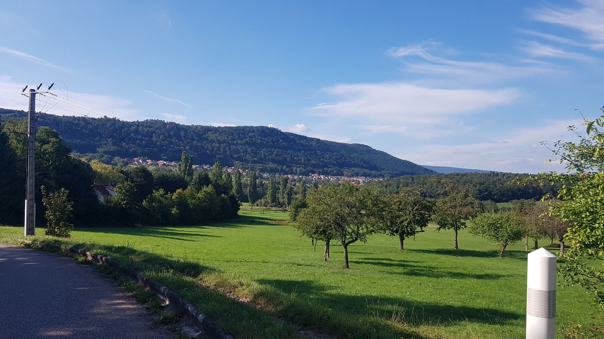Blick auf Mollkirch