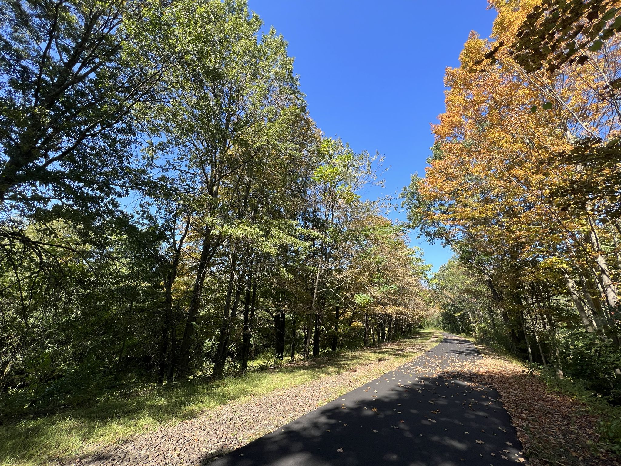 A paved path winds through a forest with green and autumn-colored trees. - Crane Park Pond – Monroe Ponds loop from Village of Goshen