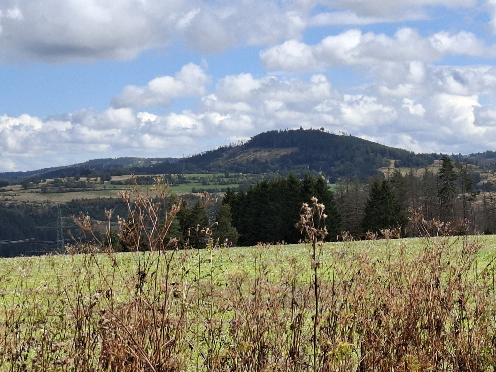 Blick auf die Meuselbacher Kuppe