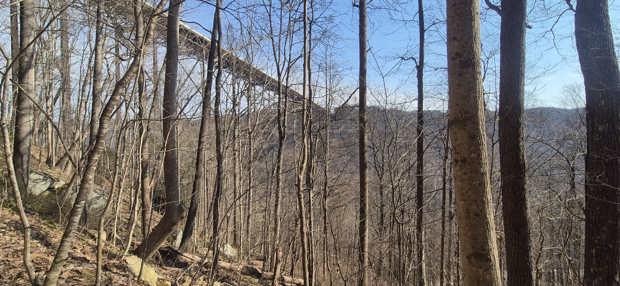 A large bridge spans a valley, viewed through a bare winter forest. - Bridge Trail