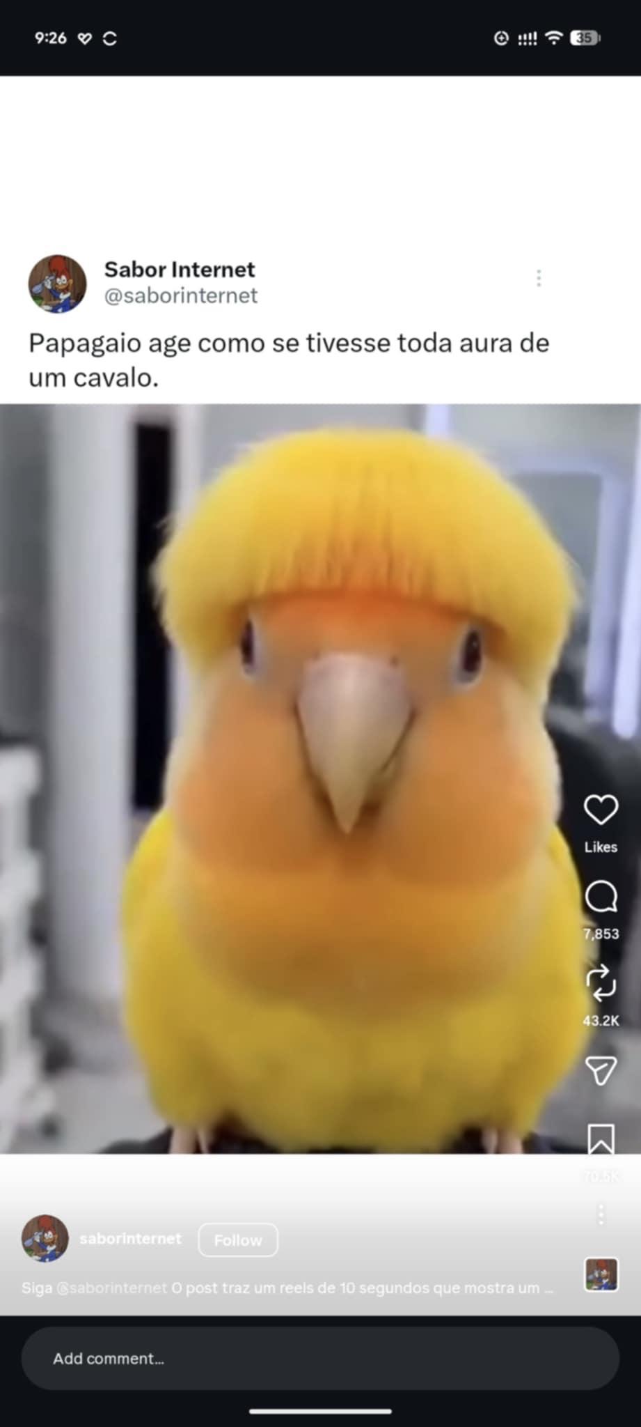 user avatar