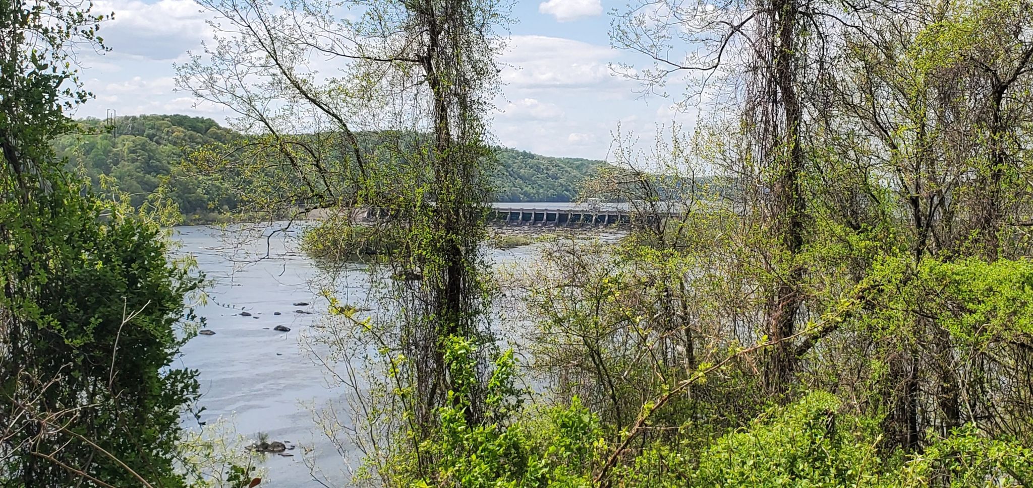 A dam across a wide river, seen through green trees on a bright day. - Enola Low Grade Trail