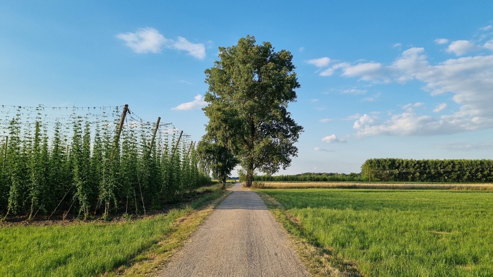 ...jetzt in Richtung Geisenfeld...