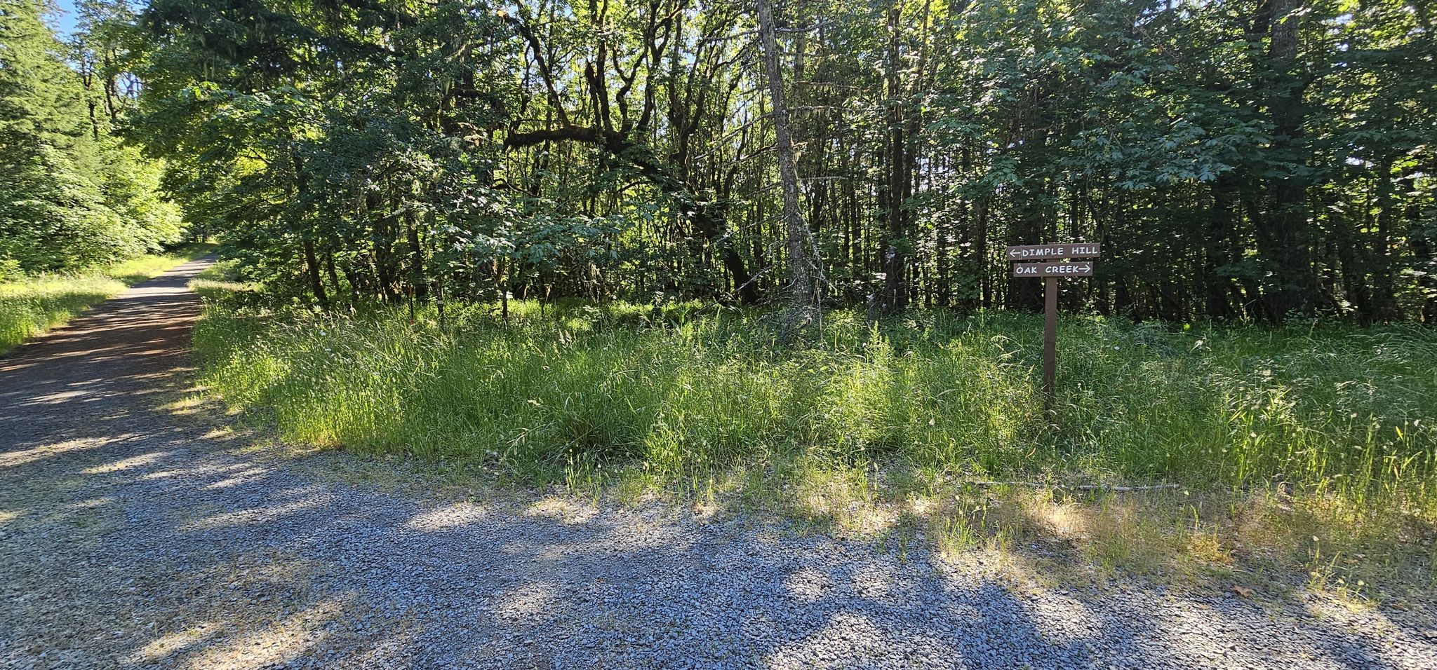 Wooden trail sign at a gravel path junction in a sunny forest. - Dimple Hill via Harry R. Patterson Road