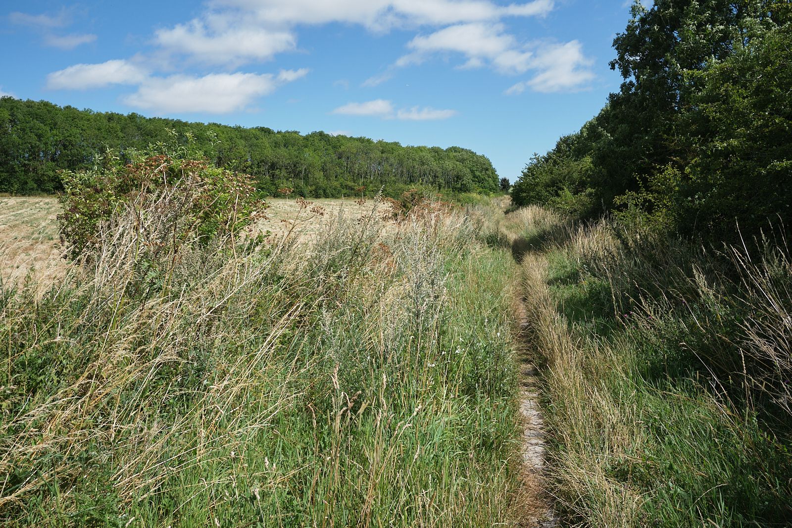Church End to Dunstable byway