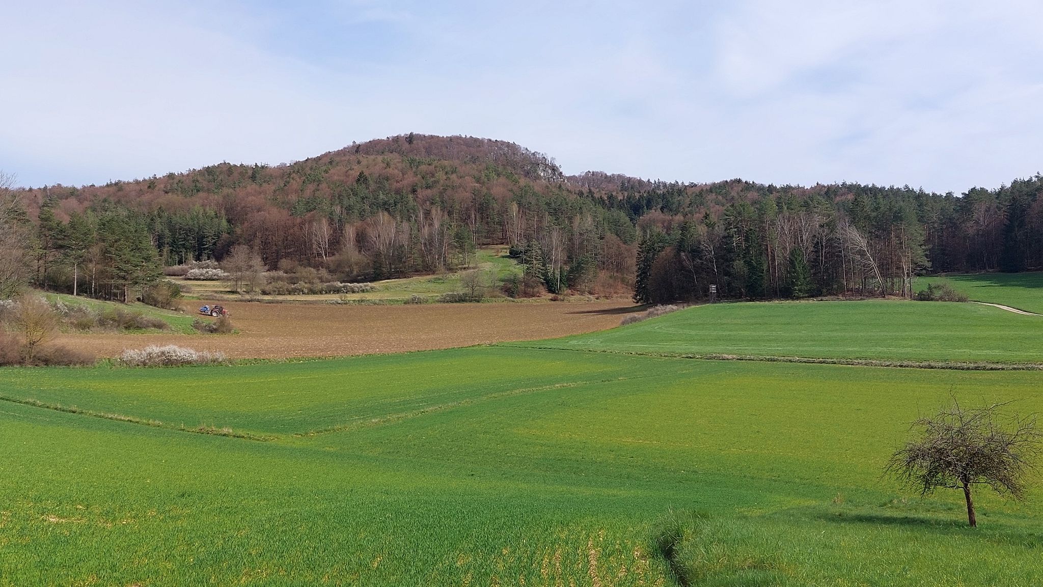 Blick zum Höhenglücksteig