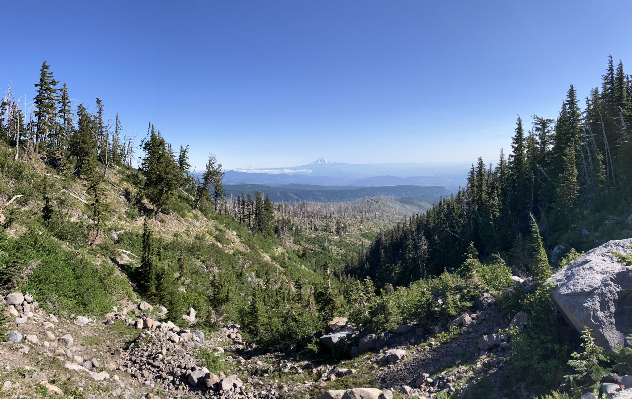 Panoramic view of a mountain valley with evergreen trees and a distant peak. - Cloud Cap to Elk Cove