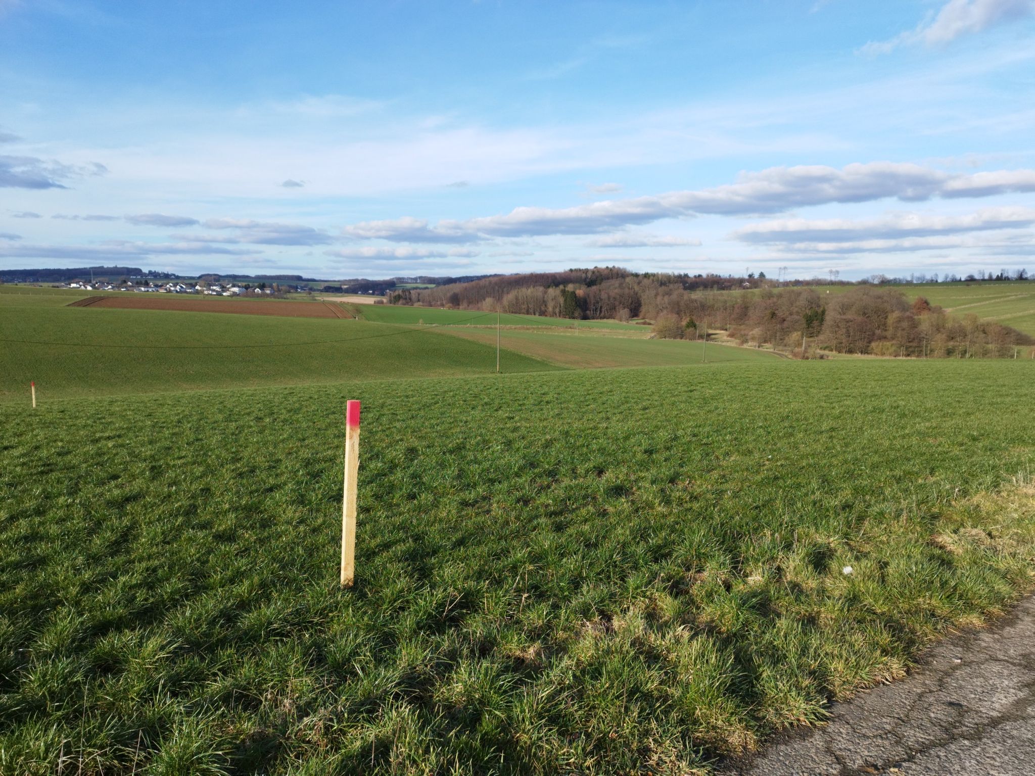 Aussicht