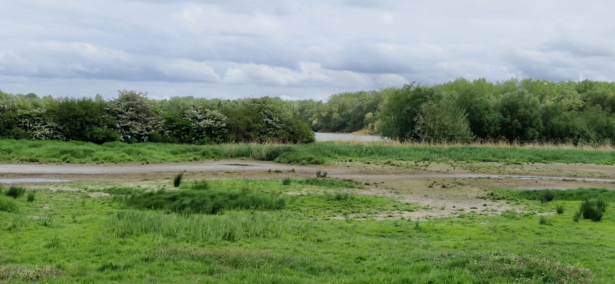 verdroken weide