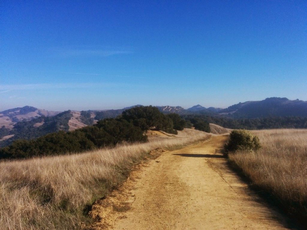 A wide dirt path through golden fields, leading towards distant hills. - Diablo Regional and Oyster Point Trail Loop