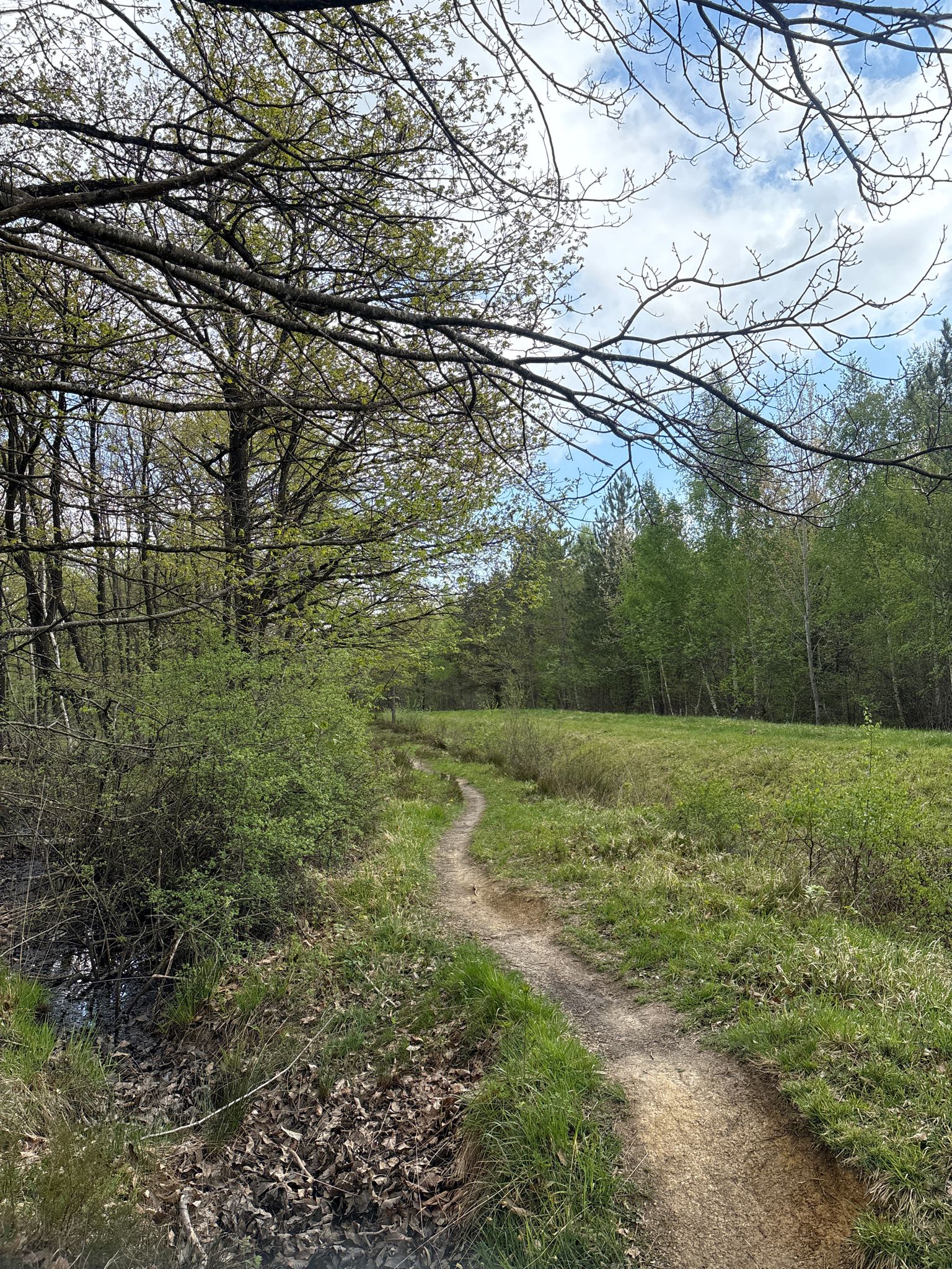 "Parc Naturel Regional de la Montagne de Reims"
