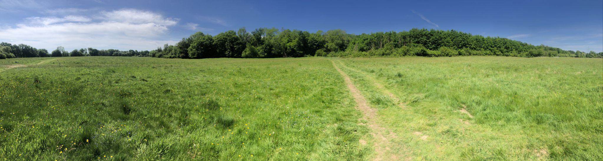 Aggerauen