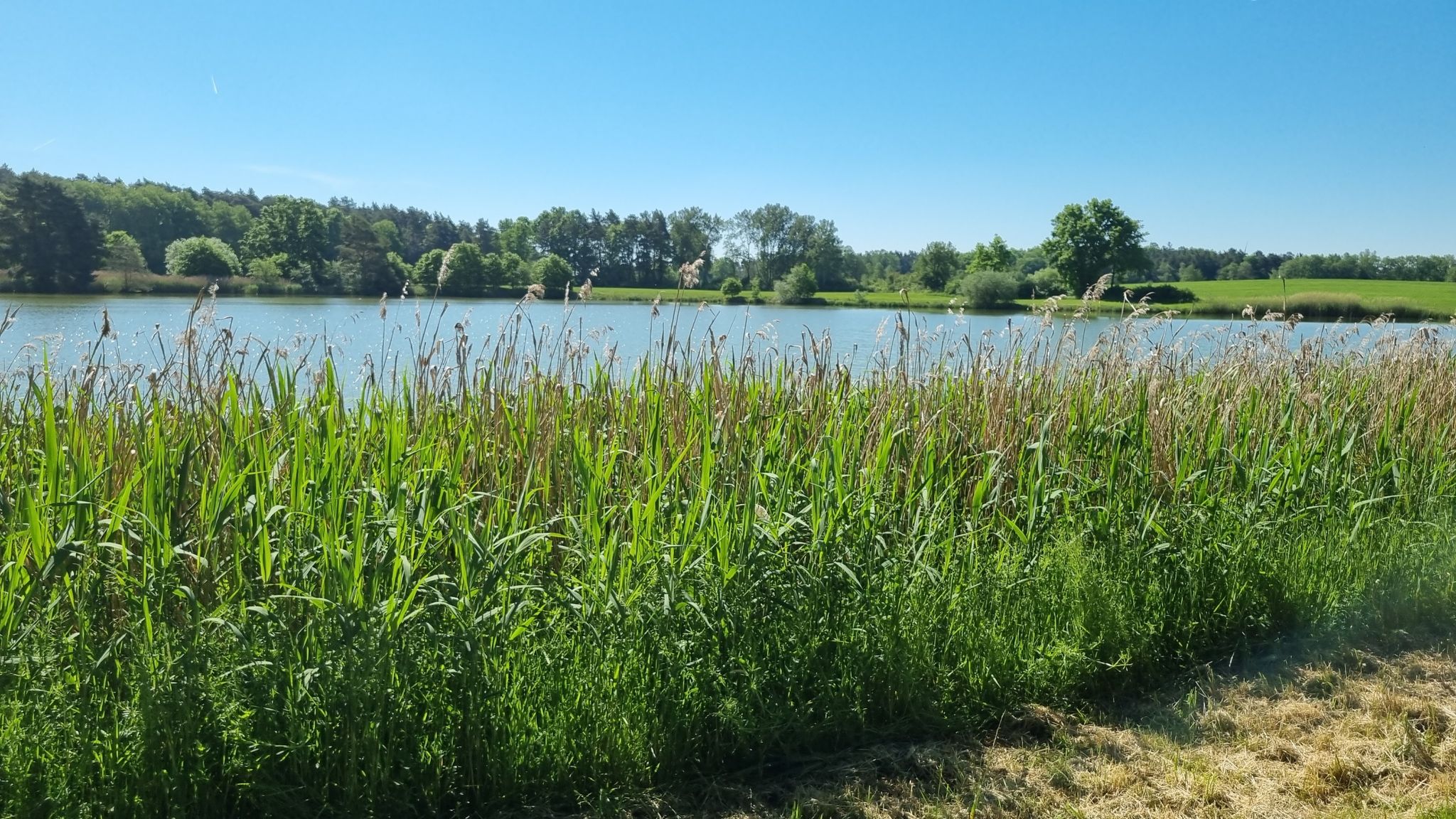 Altweiher