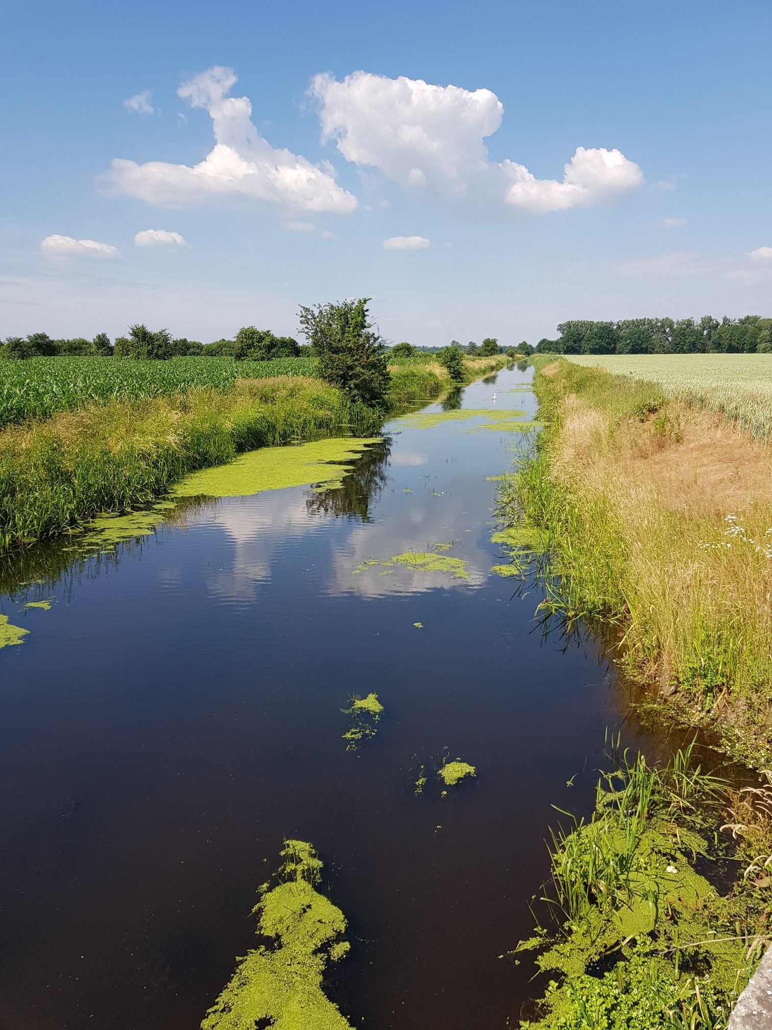 Butterhorst Richtung Kalbe (Milde)