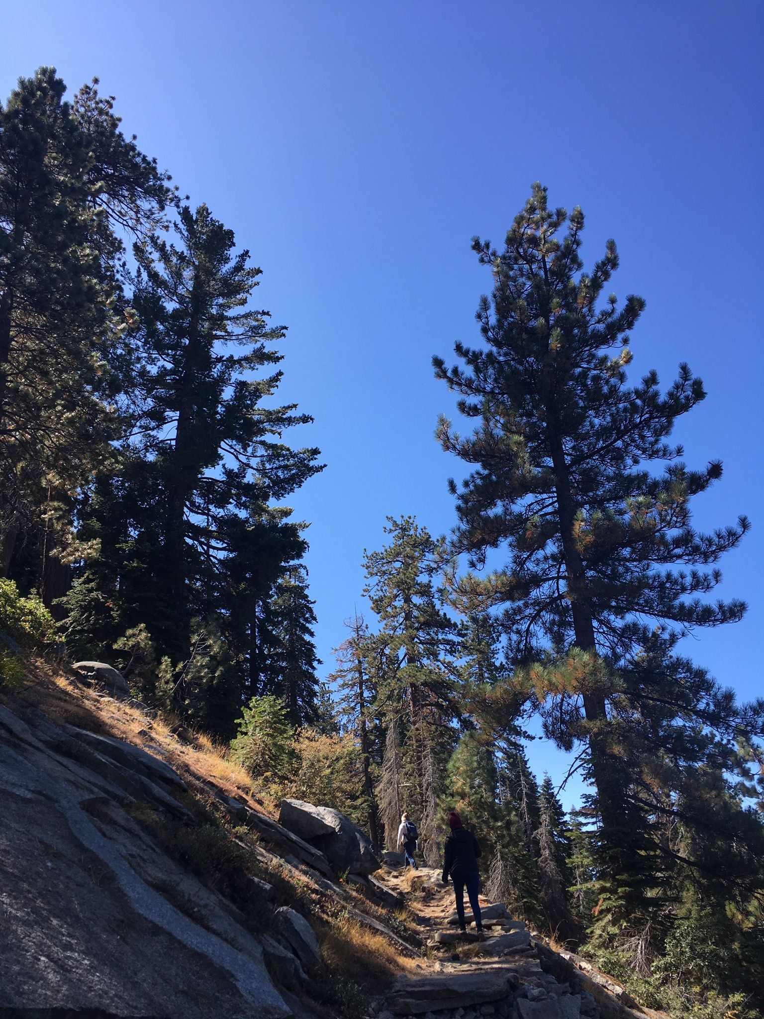 Two hikers ascend a rocky, forested trail under a clear blue sky. - Little Baldy Trail