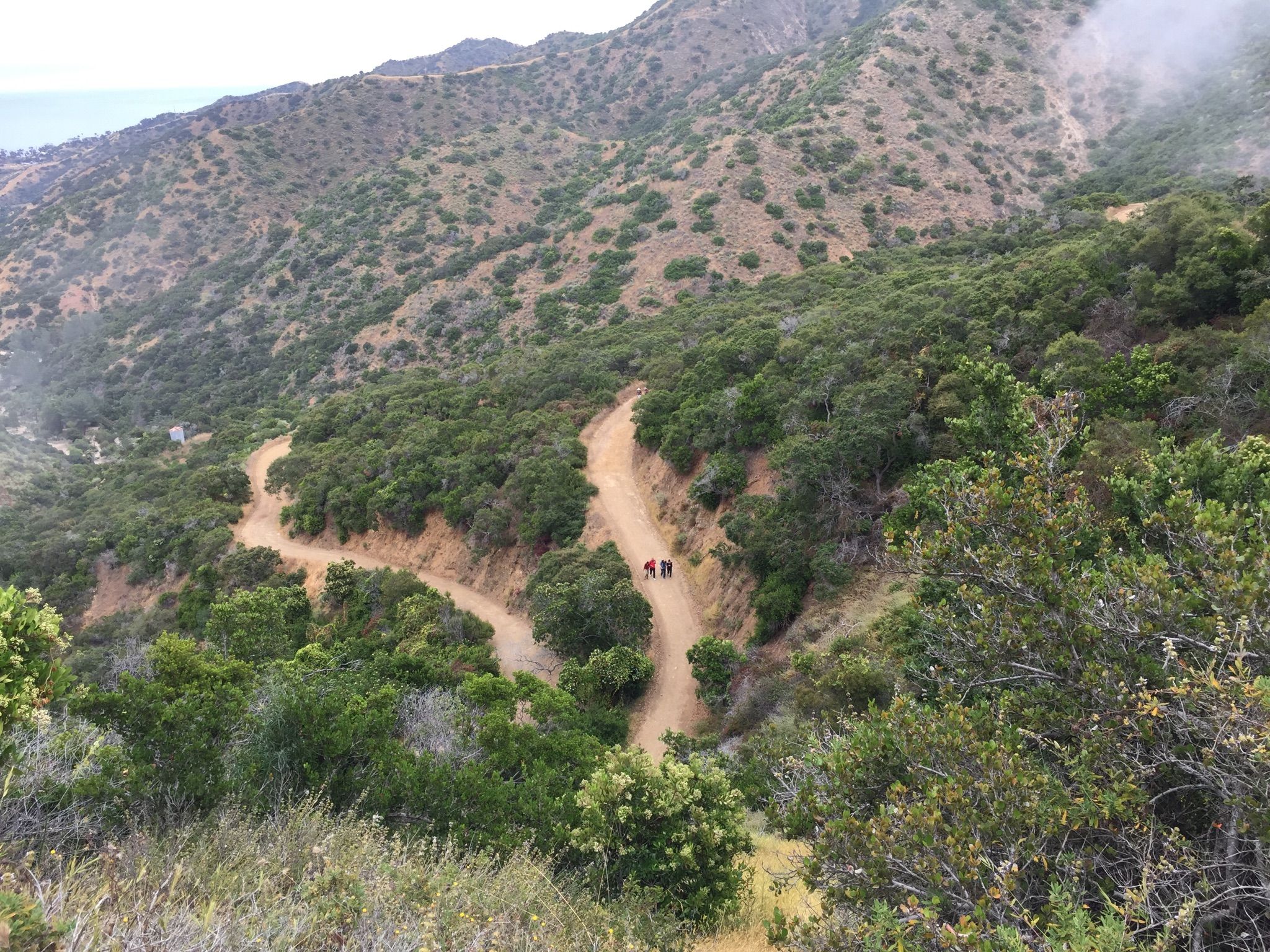 A group of hikers on a winding dirt road through green hills. - Garden to Sky Trail
