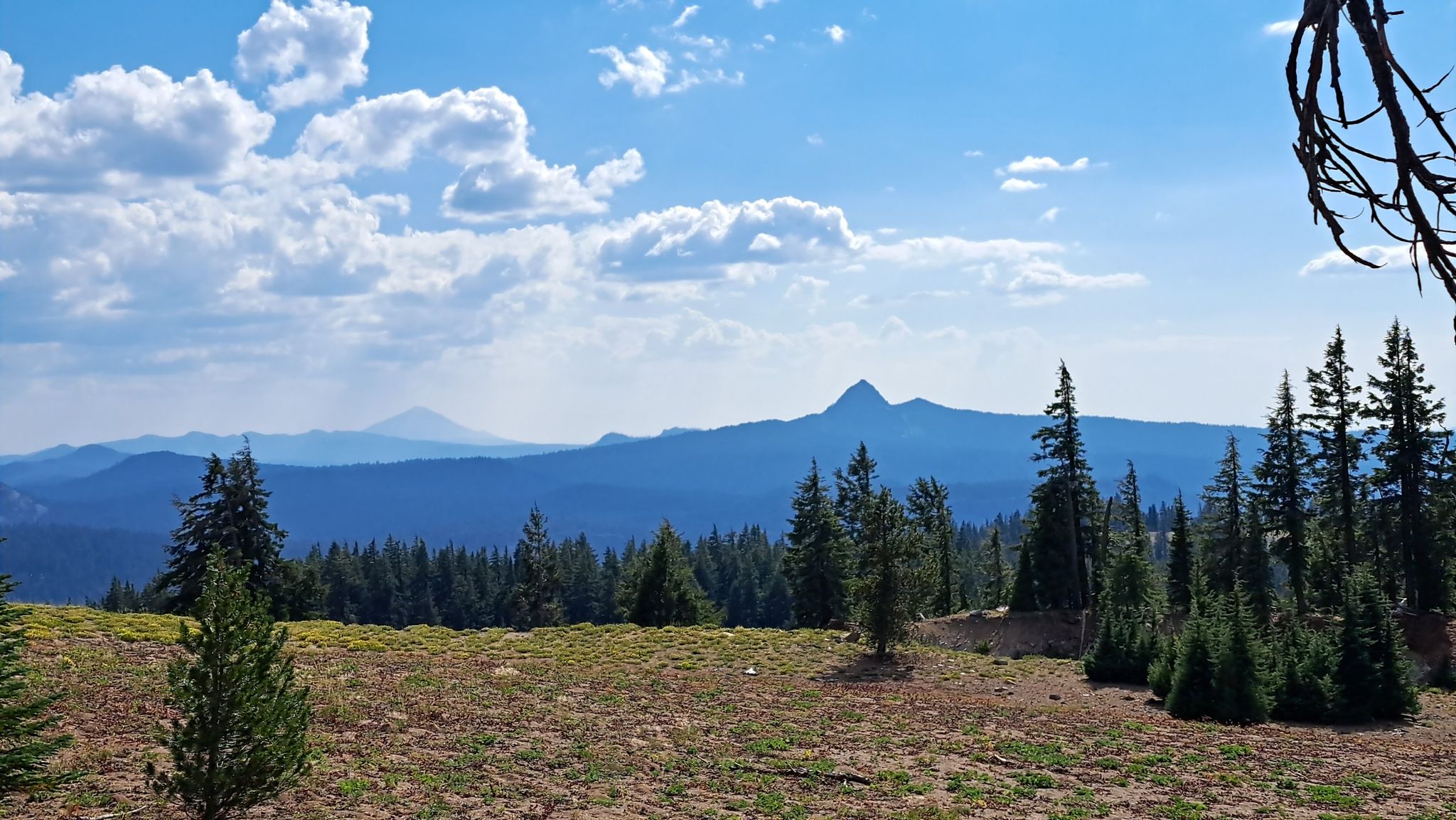 Forested foreground with distant blue mountains under a bright, cloudy sky. - Rim Trail