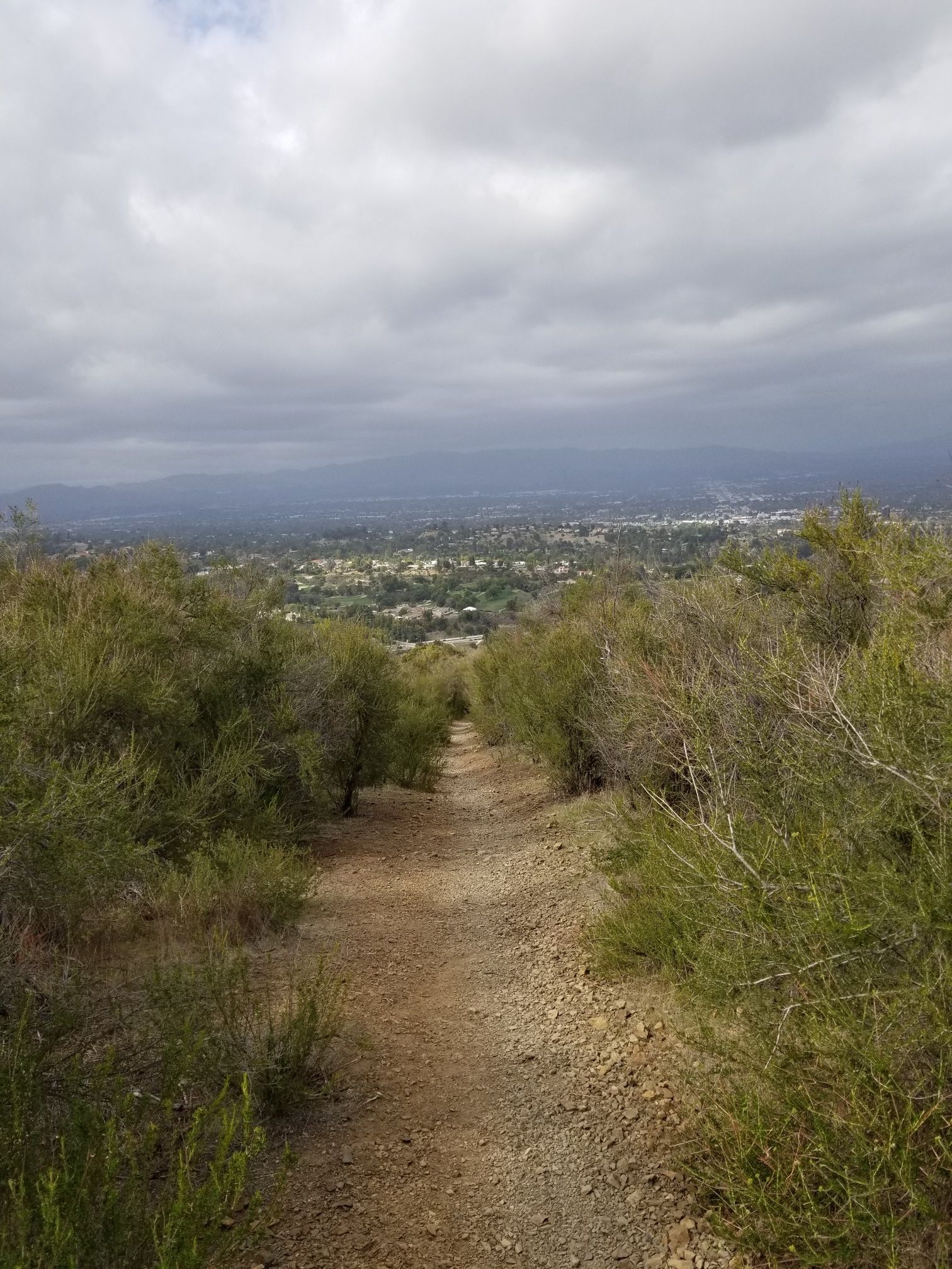 Narrow dirt trail through dense green bushes overlooking a distant city. - Caballero Canyon Loop