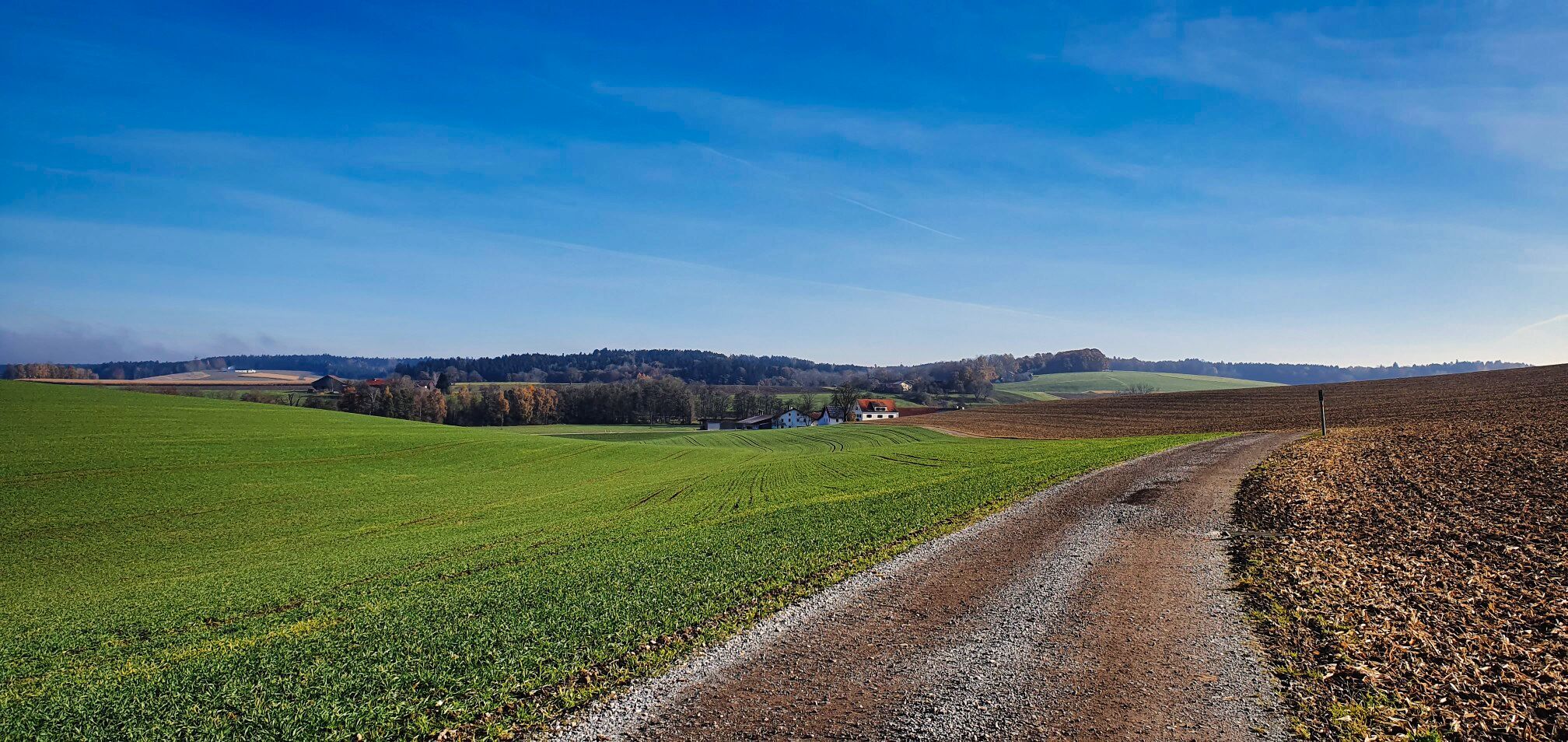 Blick nach Bachleiten