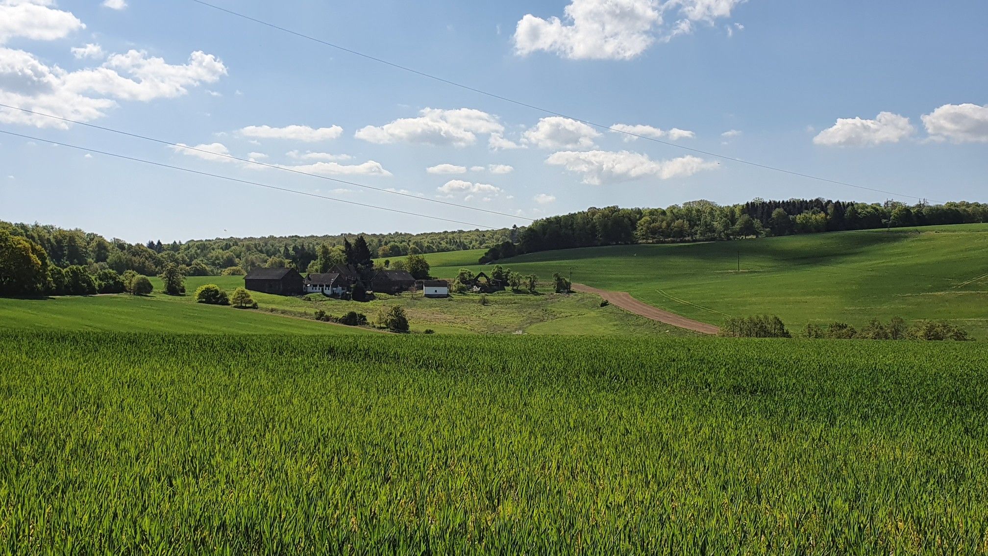 Hinter Singhofen 