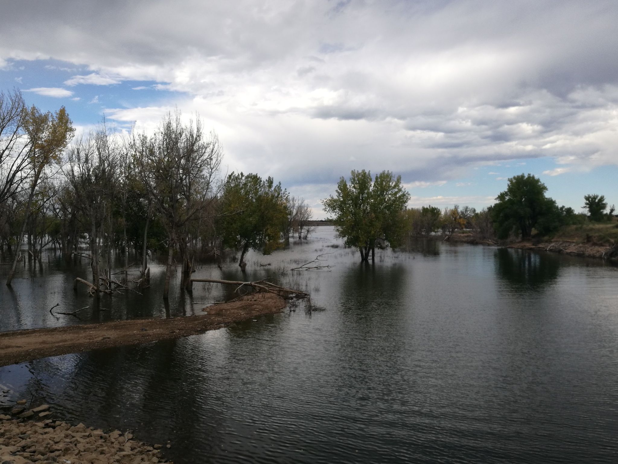 Overcast sky over a flooded landscape with trees submerged in dark water. - Loop around the Chatfield Reservoir