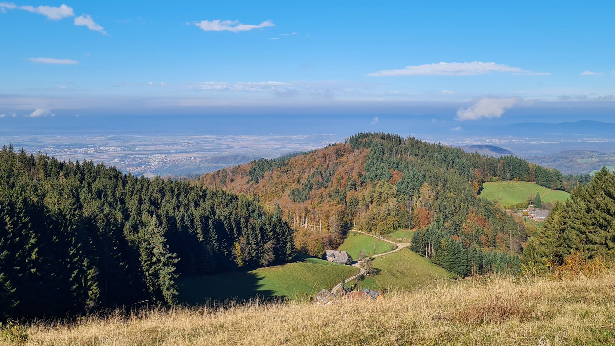 Kohlerhof