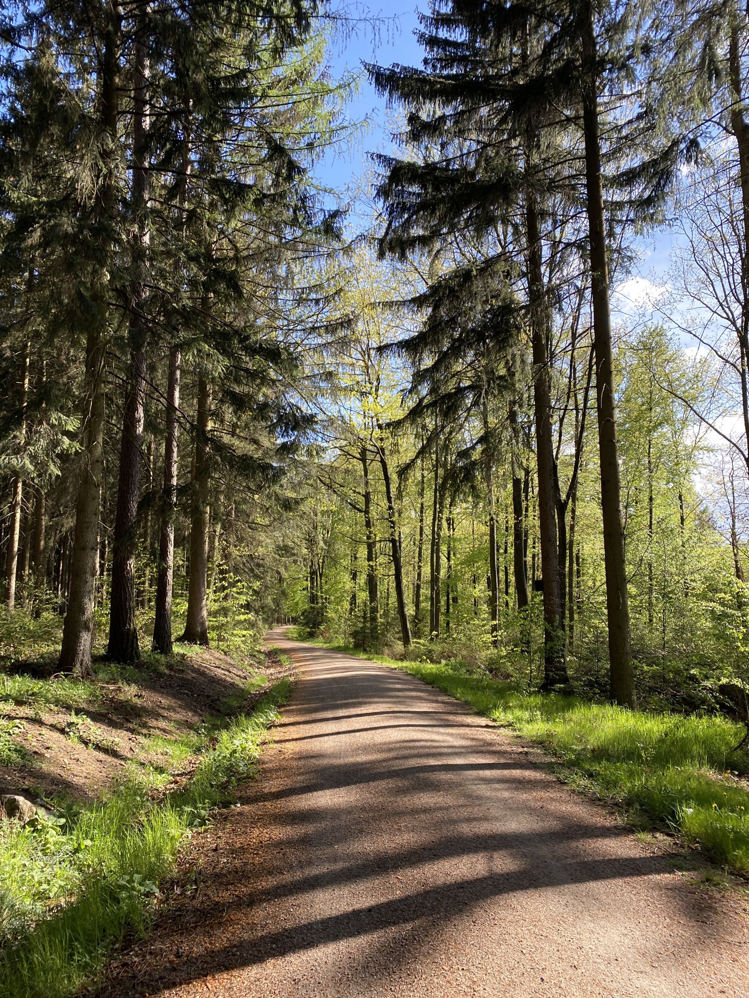 Weiter bei schönem Sonnenschein.