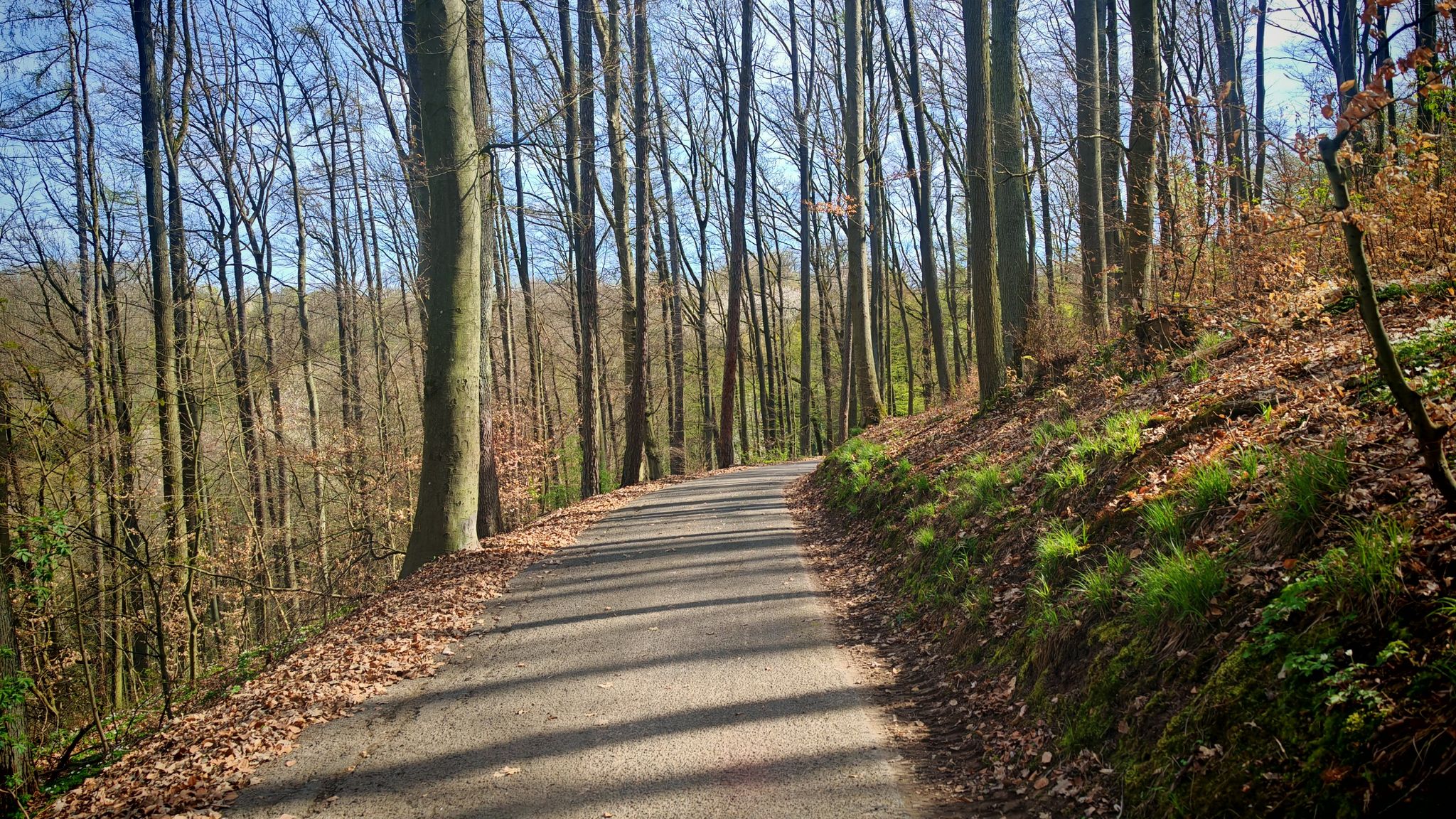Rennweg, historischer Eilbotenweg