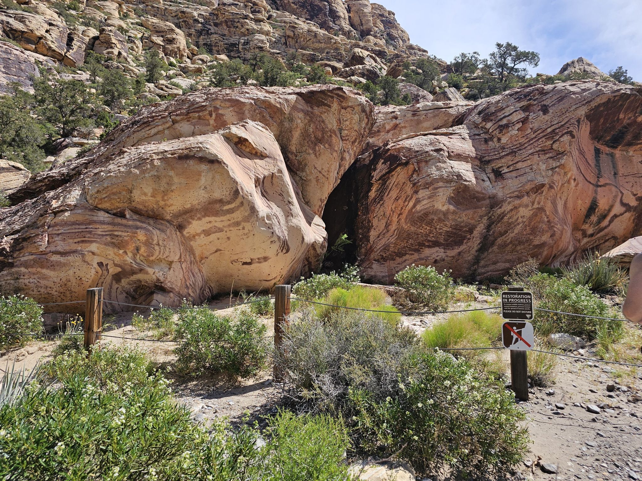 Large red rock formations with a dark opening, desert shrubs, bright sun. - Grand Circle, Turtlehead Peak, and White Rock Loop