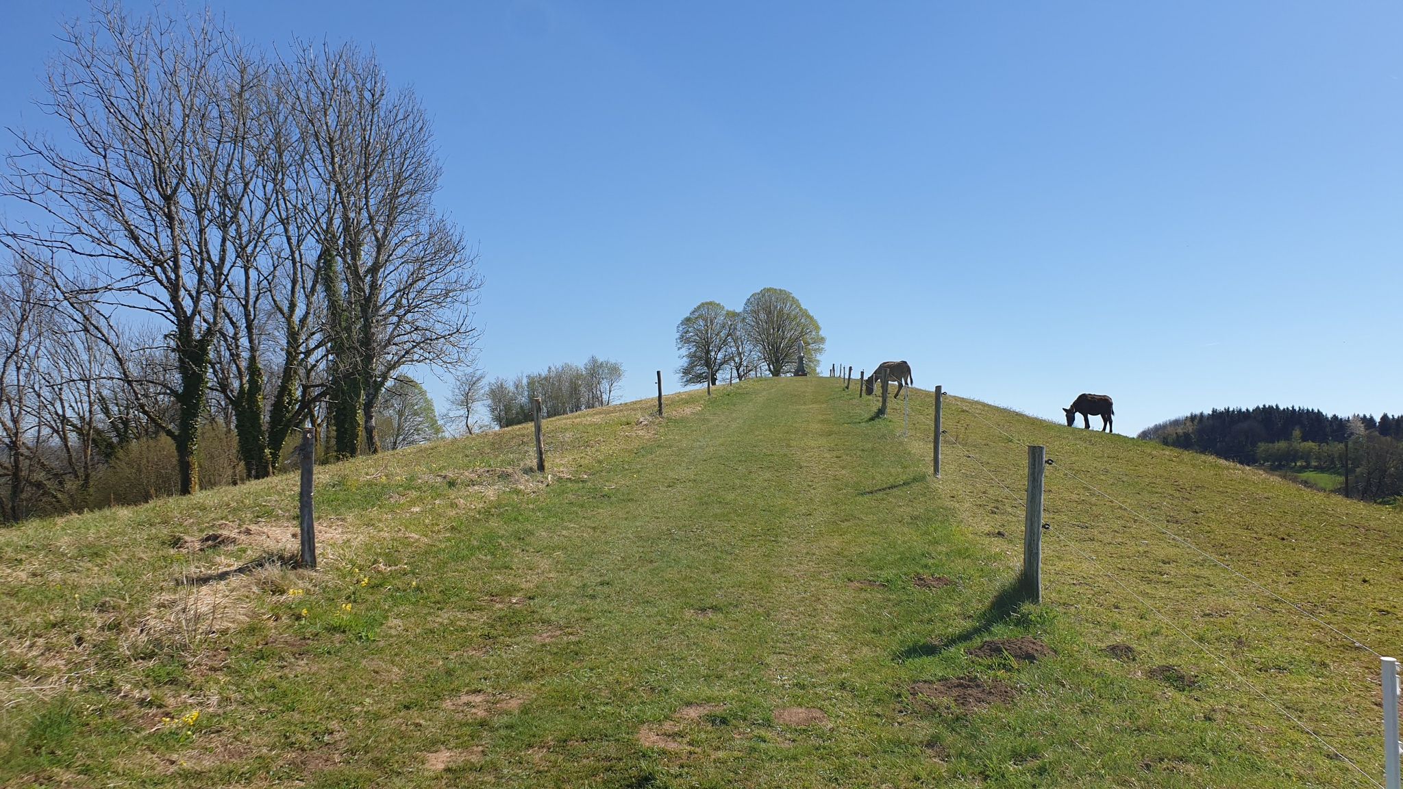Signal Rochette