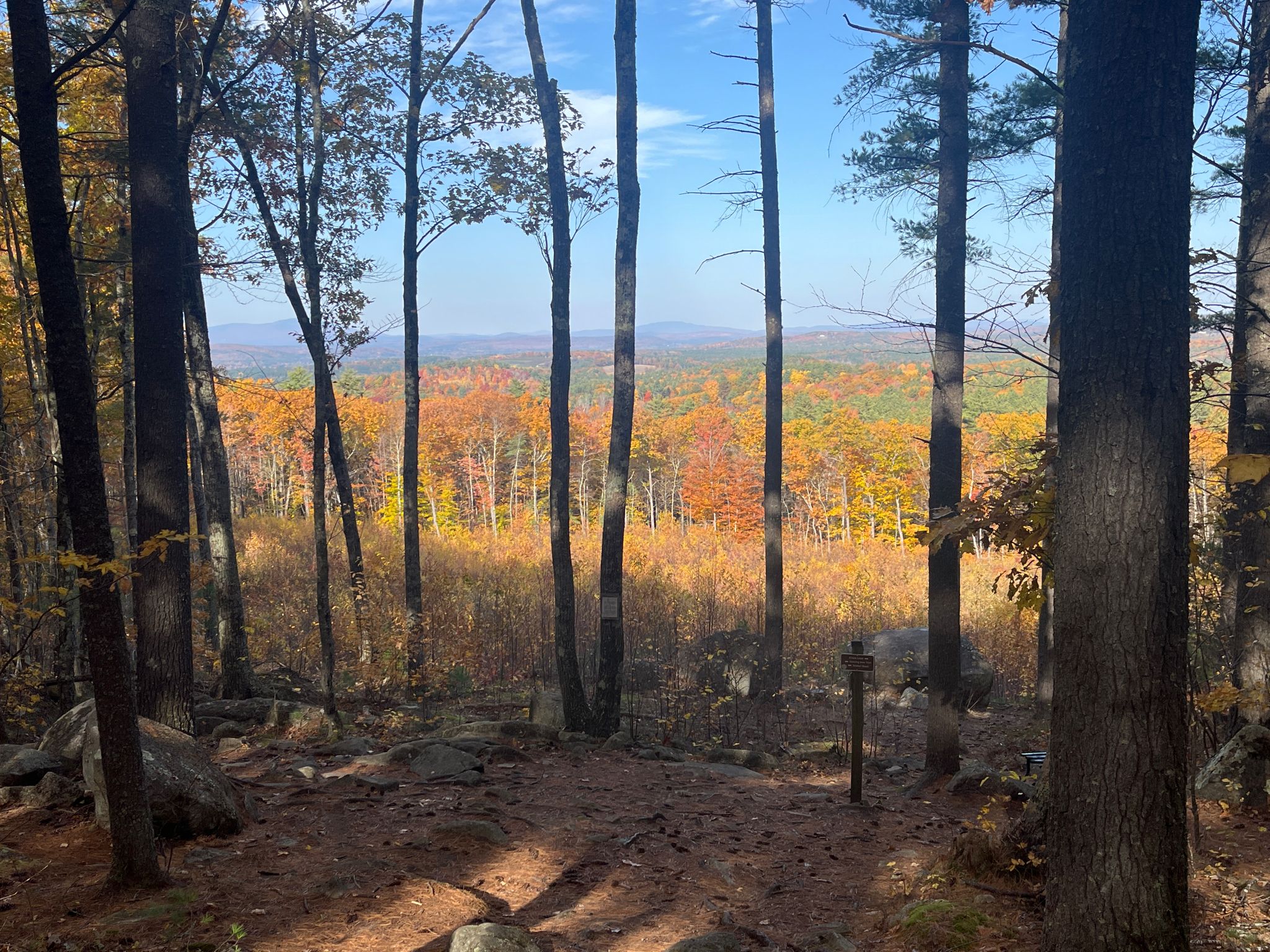 Forest edge overlooking a vast valley filled with vibrant autumn trees. - Knowlton, Dancing Bear, Krupa, Ron's Way, Tower, and Bowl Trail Loop