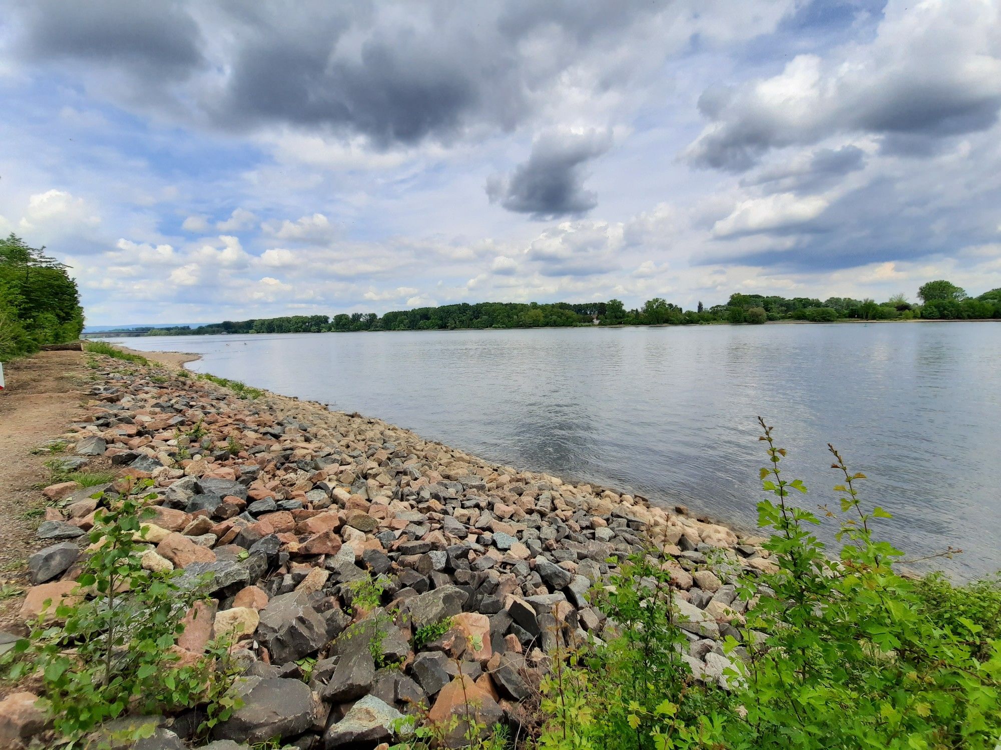 Blick rheinabwärts