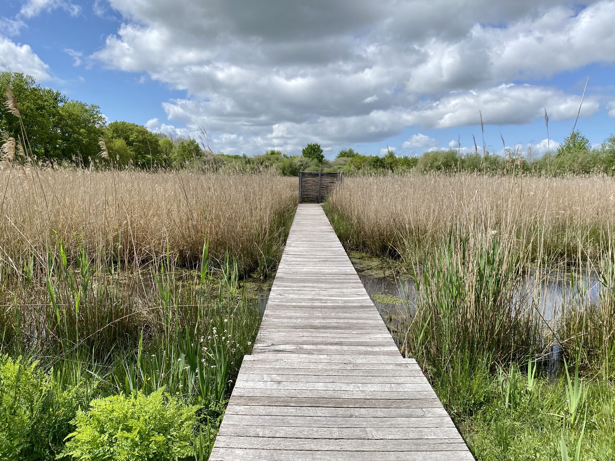 Parc de Saint-Jacques-de-la-Lande