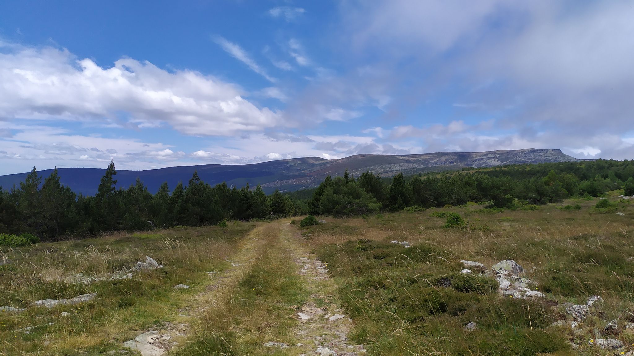 Sierra de Cebollera