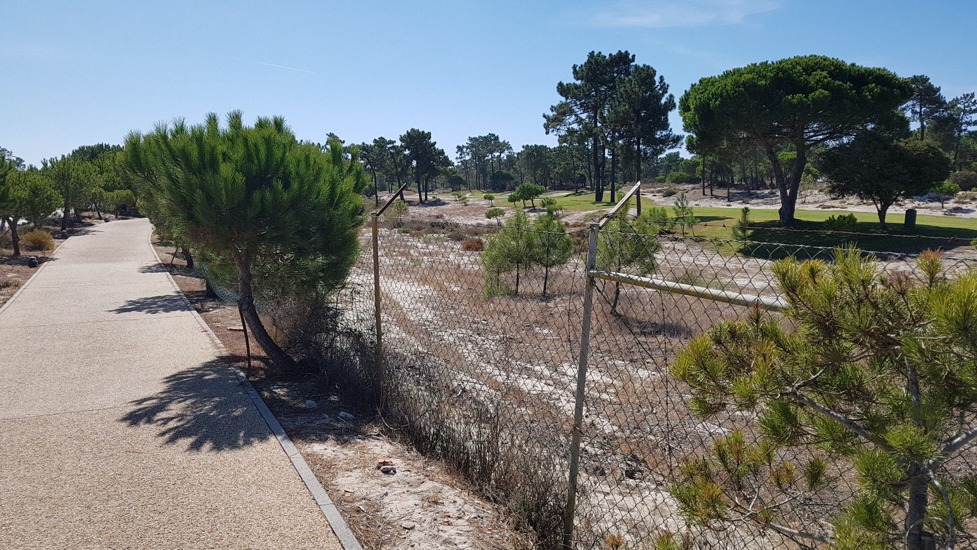 Golf am Weg