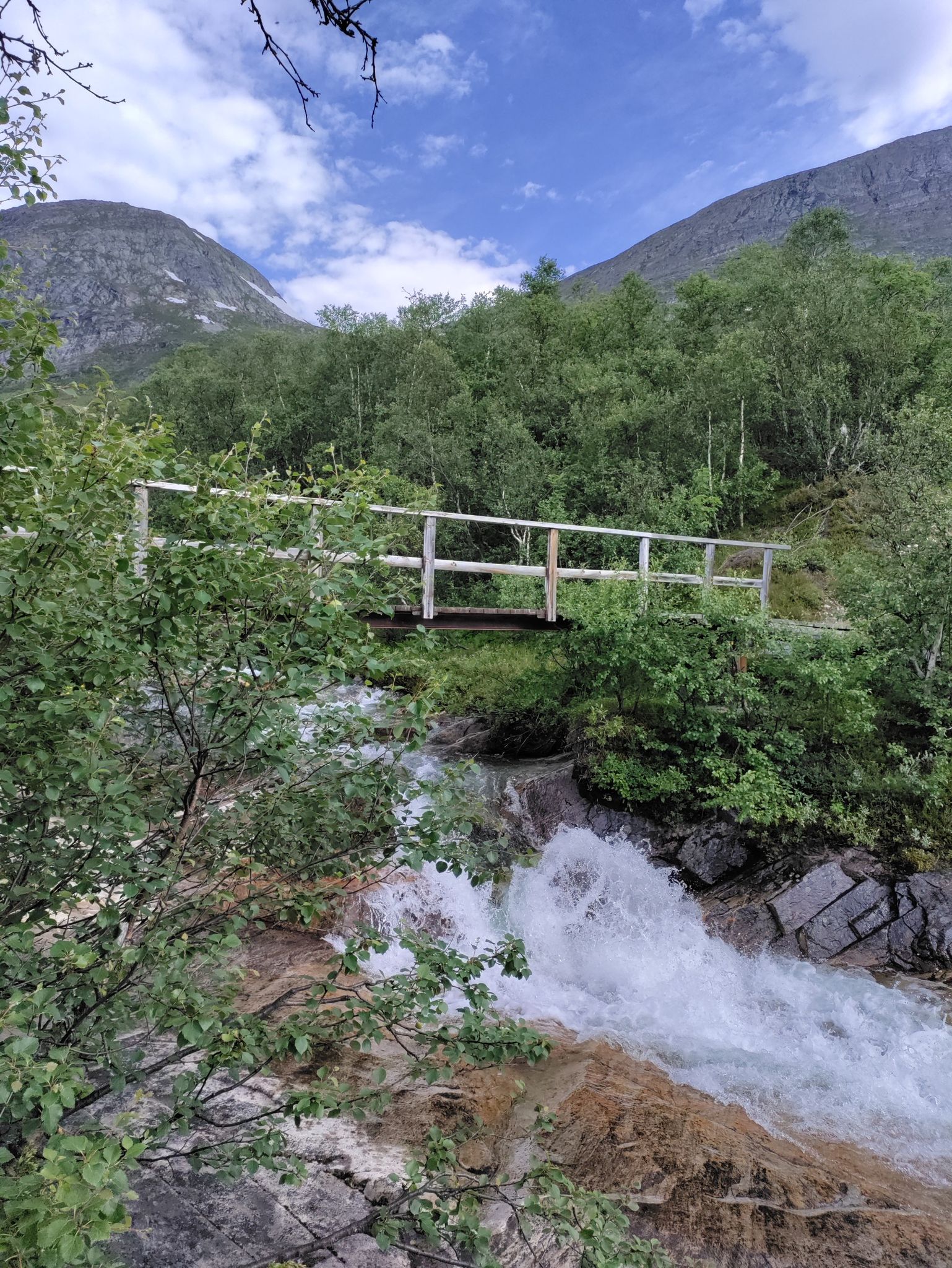 Bridge
