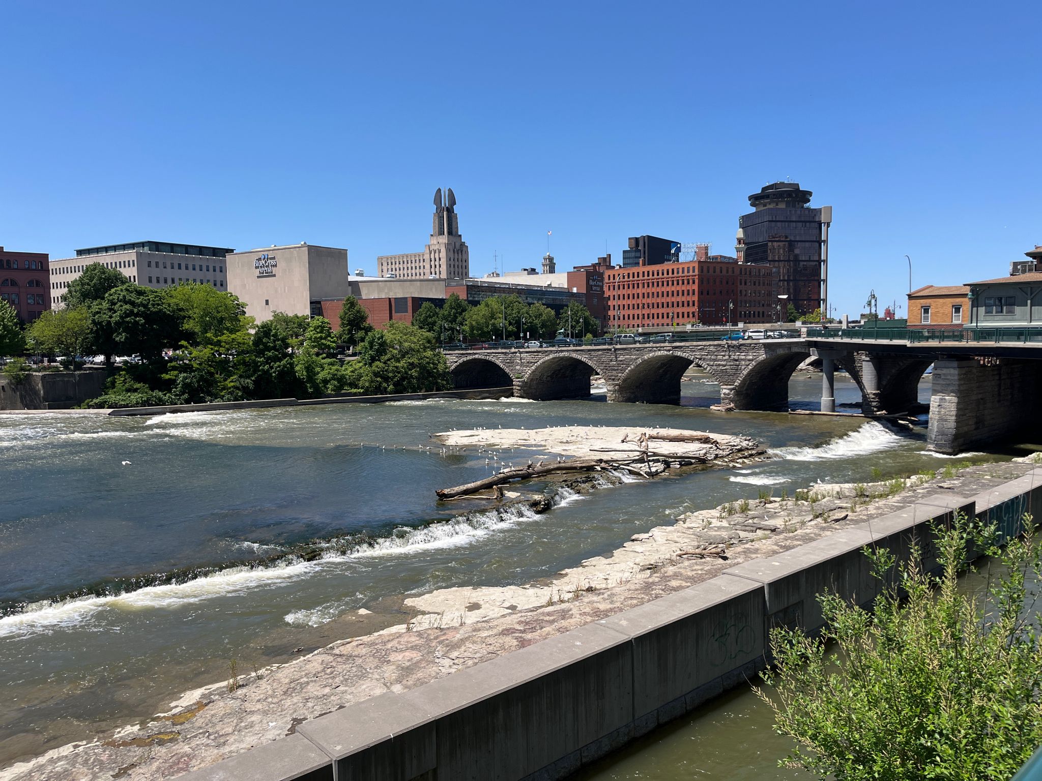 Sunny urban river with multiple bridges and a distant city skyline. - Genesee Riverway Trail