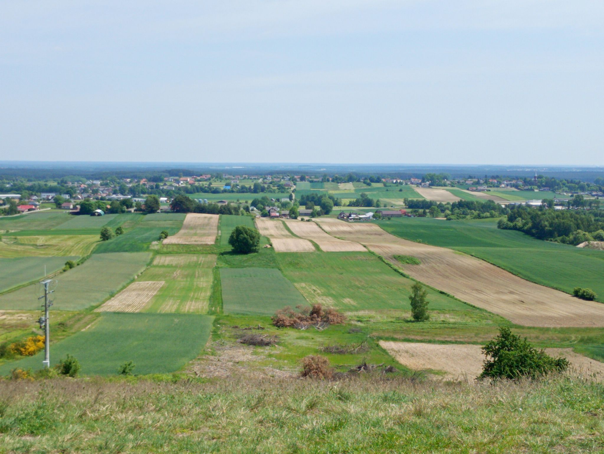 widoki