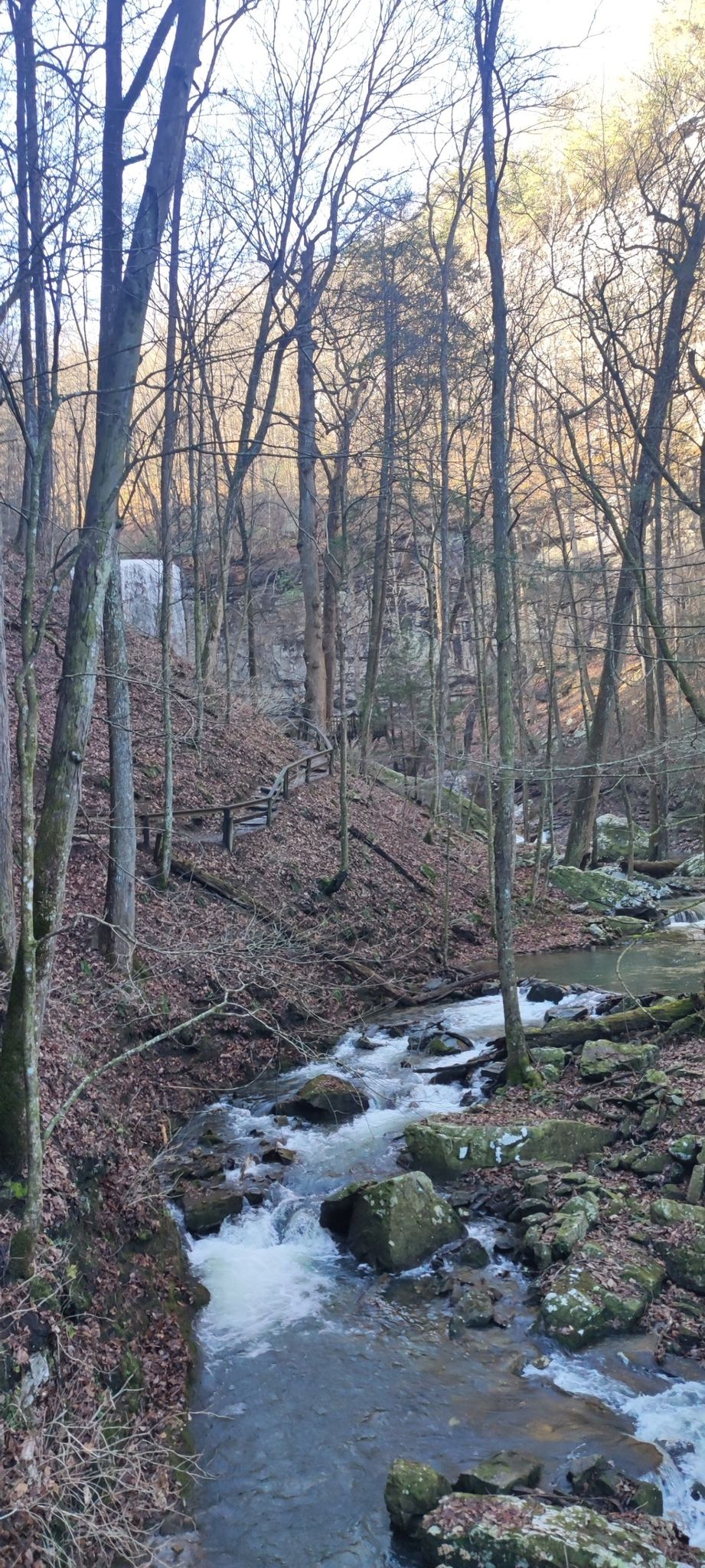 A forest stream flows over rocks, with bare trees and a distant waterfall. - Sitton's Gulch Trail