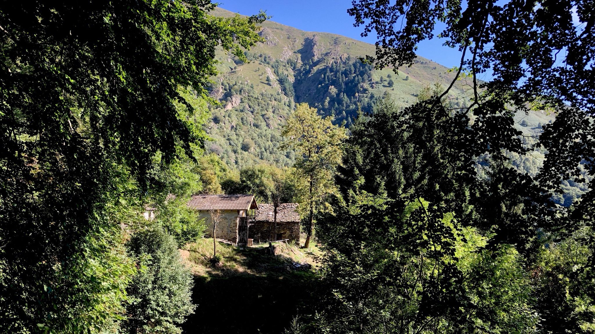 Alpe Fai