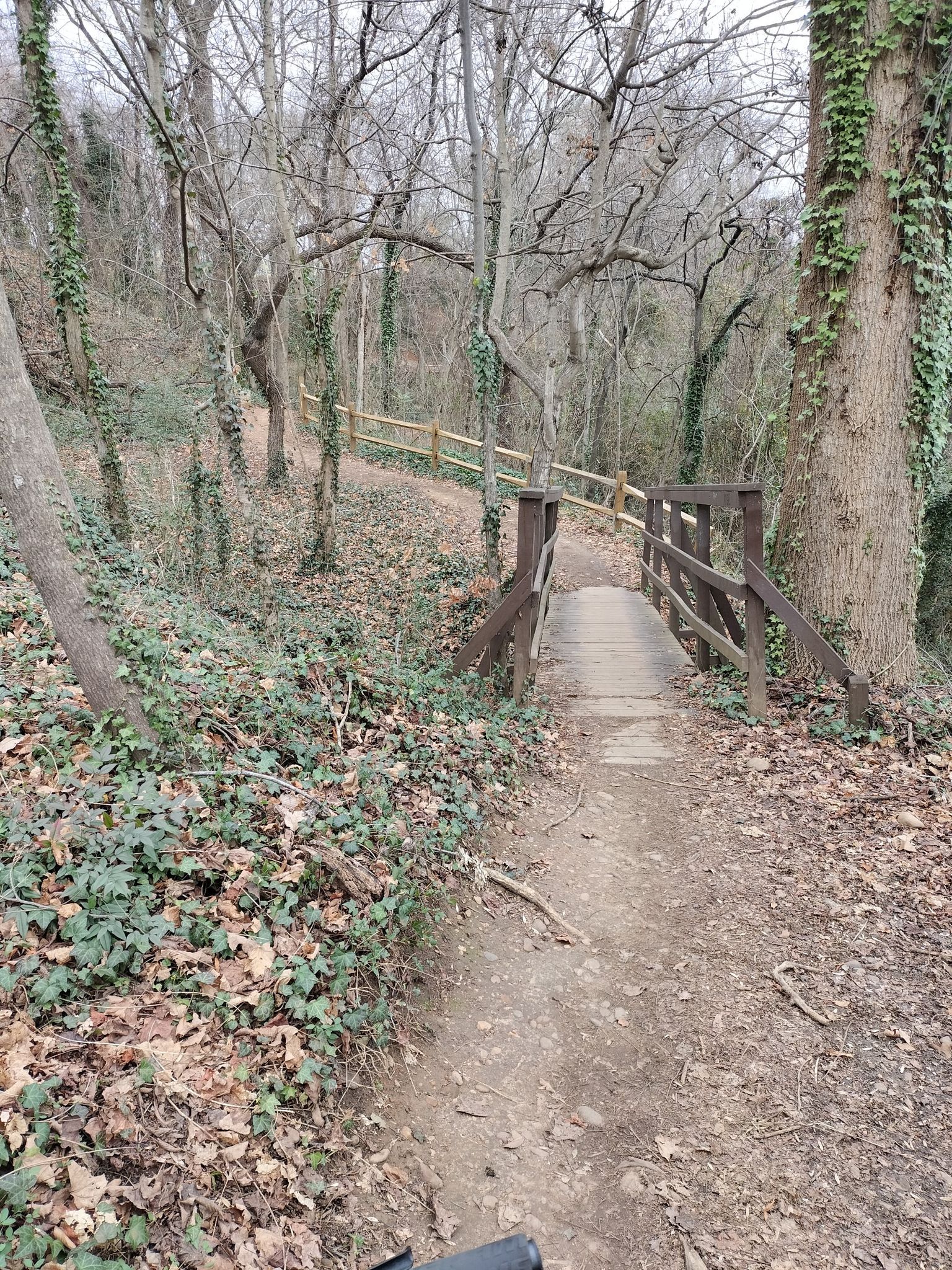 Dirt path leads to a wooden footbridge in a forest with bare trees. - North Bank and Maymont Loop