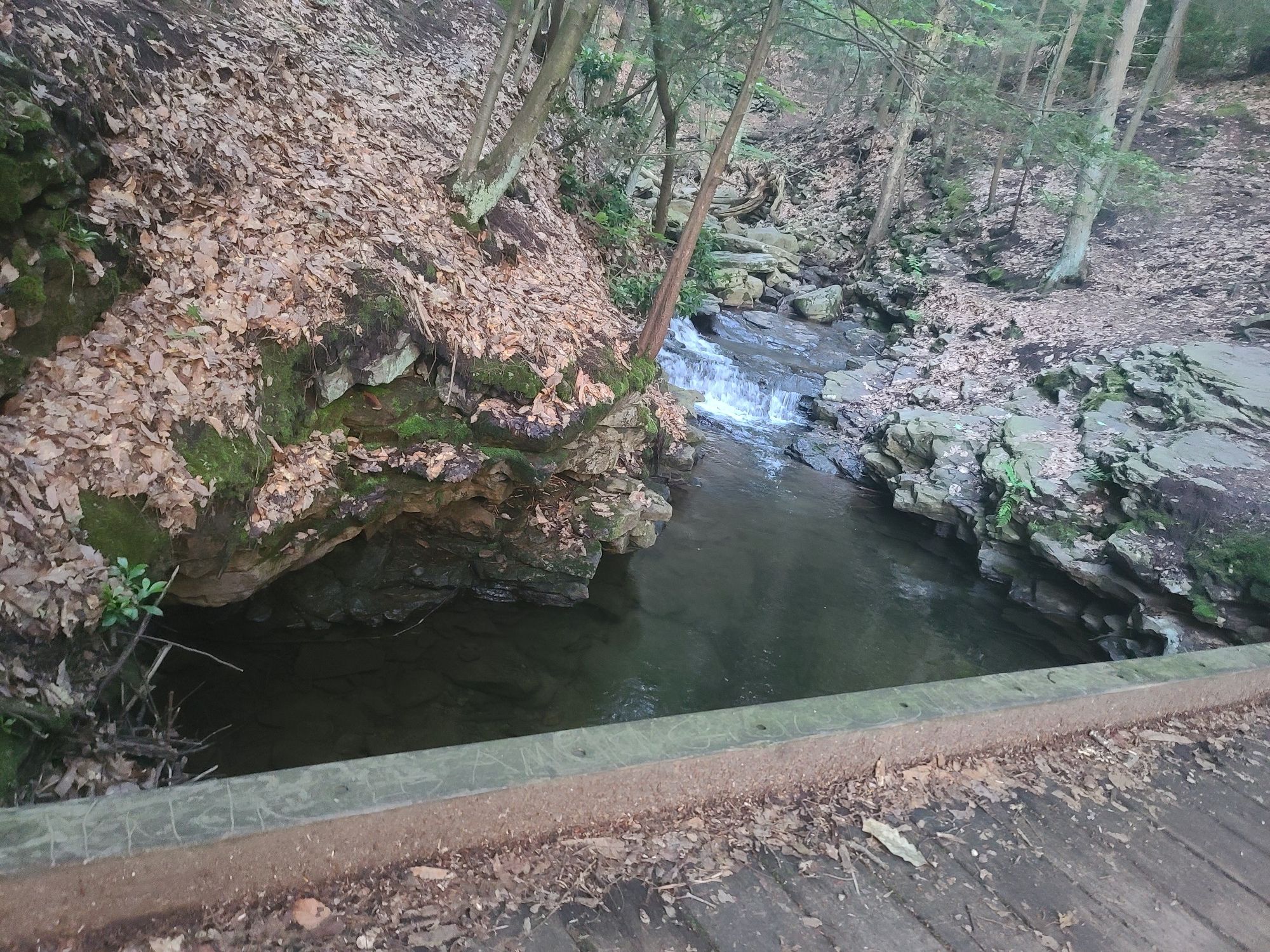 A stream flows under a wooden bridge, surrounded by rocky, wooded banks. - Seven Tubs Main Loop