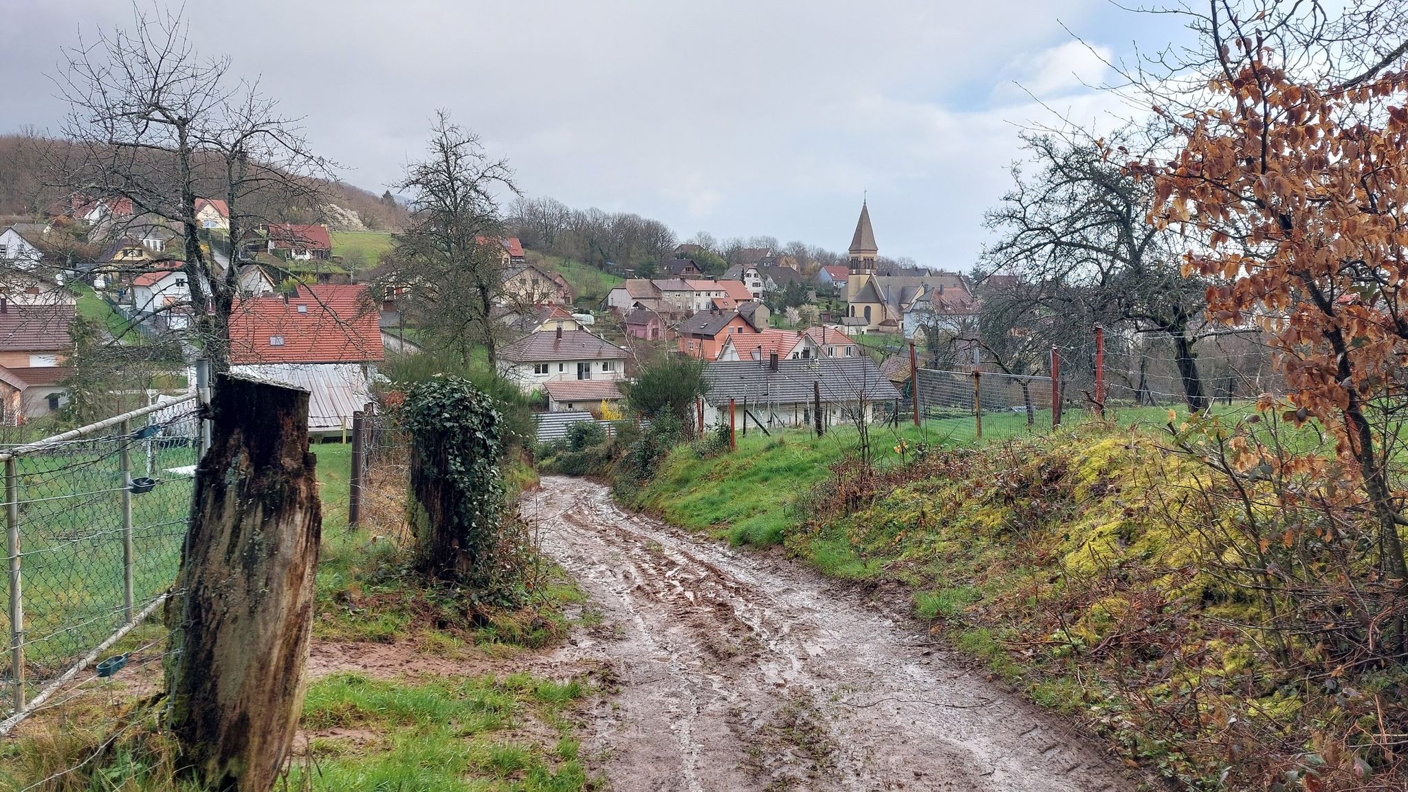 Blick zurück auf Leimbach